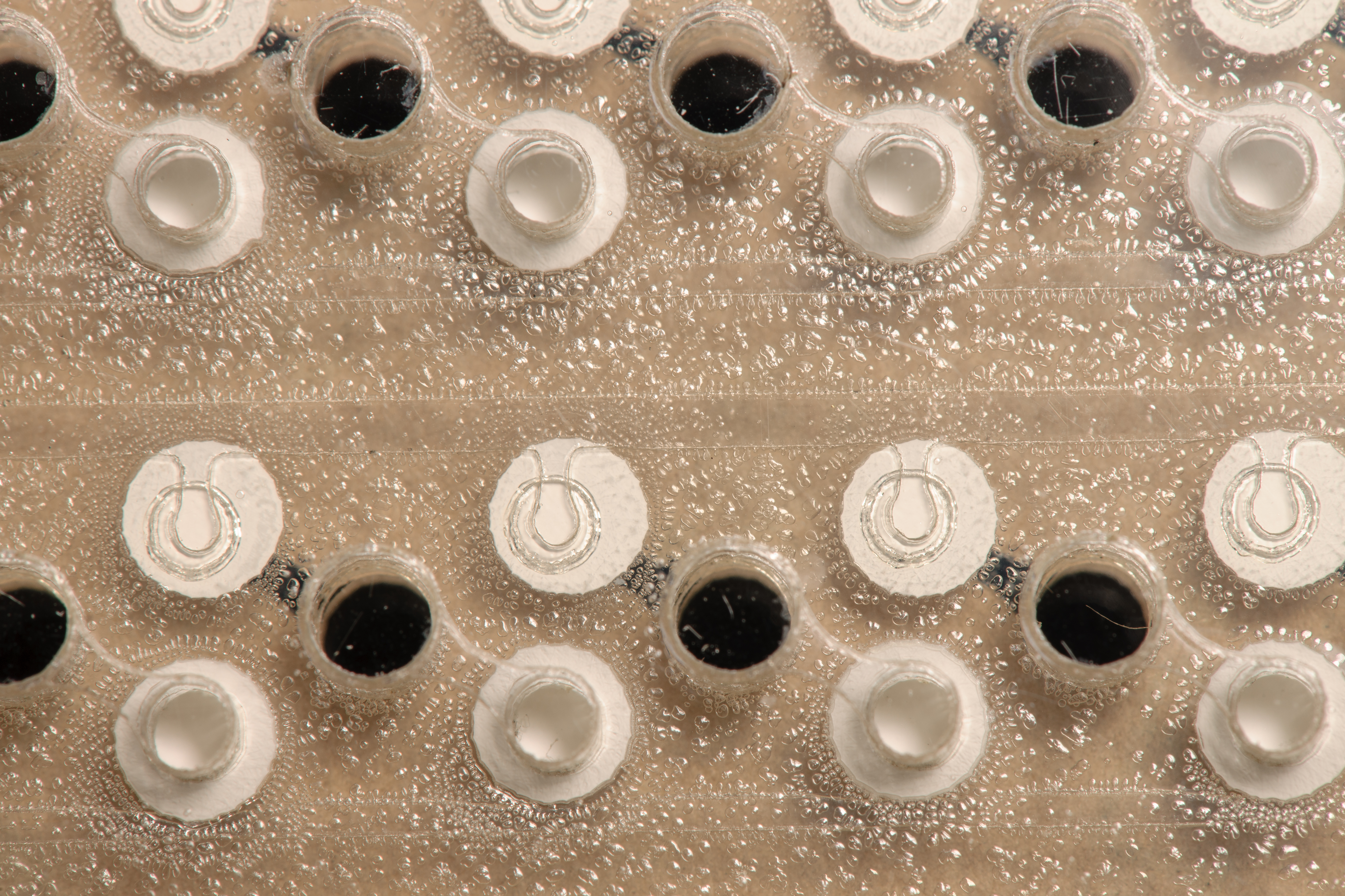 EuCropis Power Cells Fluidic Cards