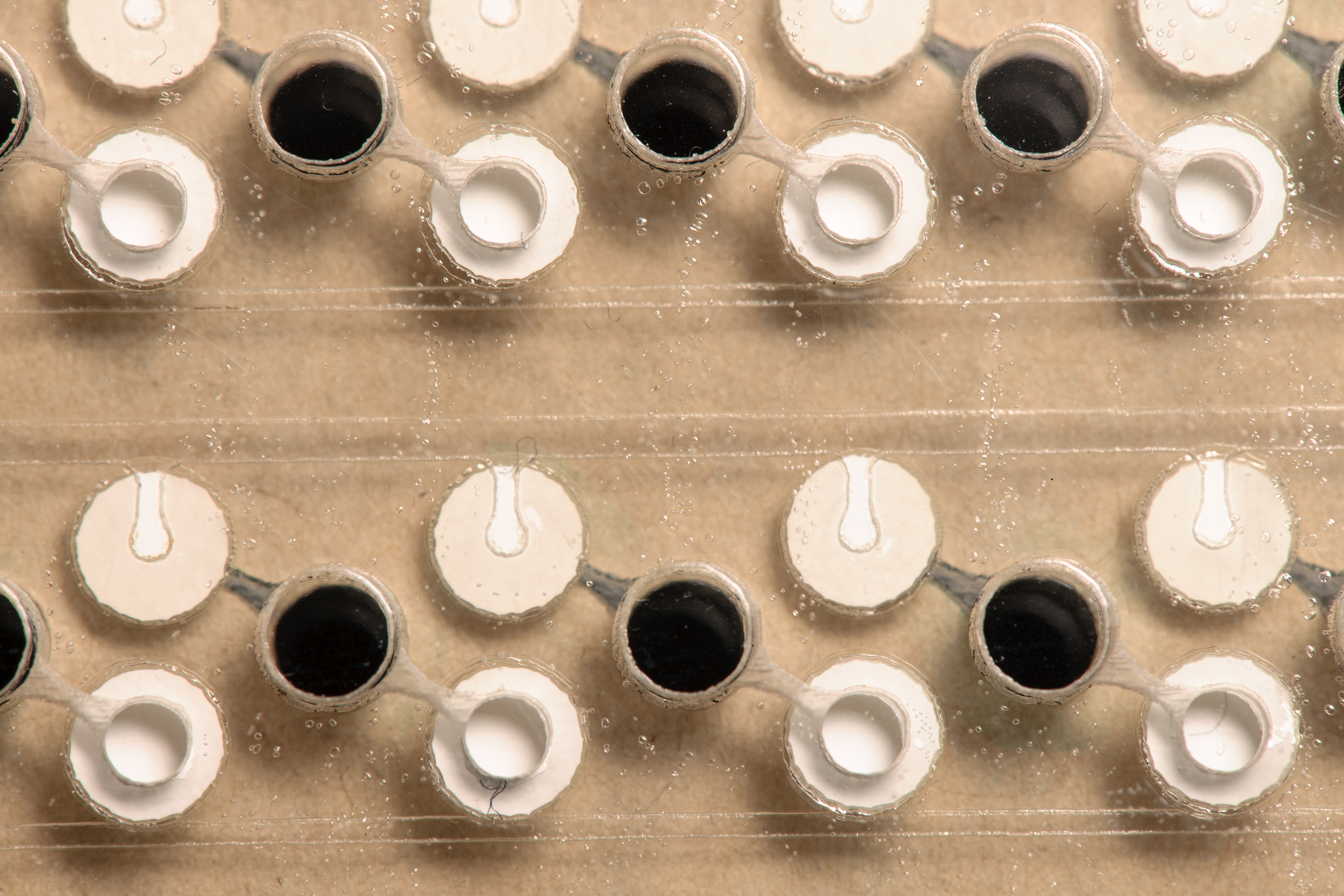 EuCropis Power Cells Fluidic Cards