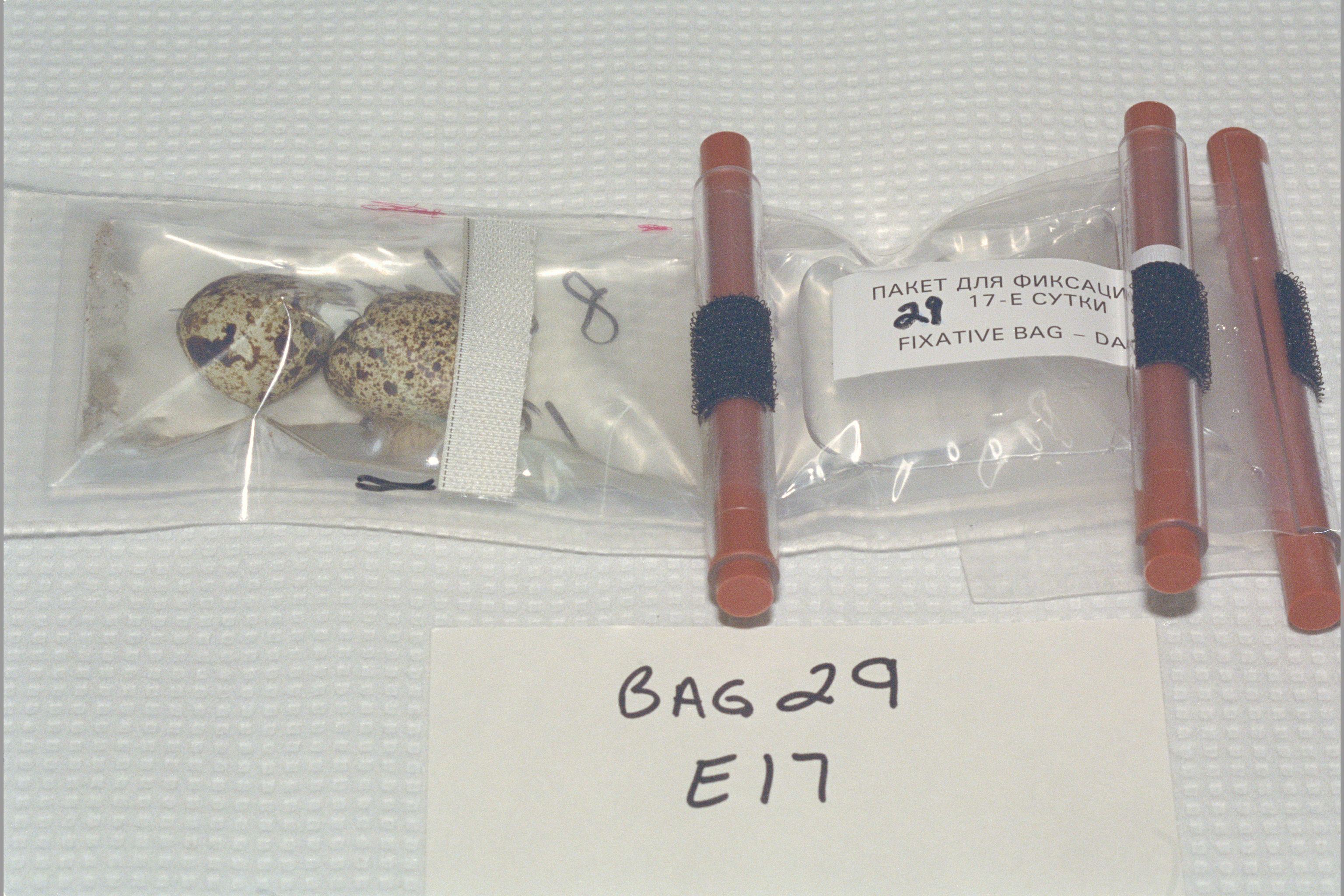 ARC-1995-AC95-0426-2