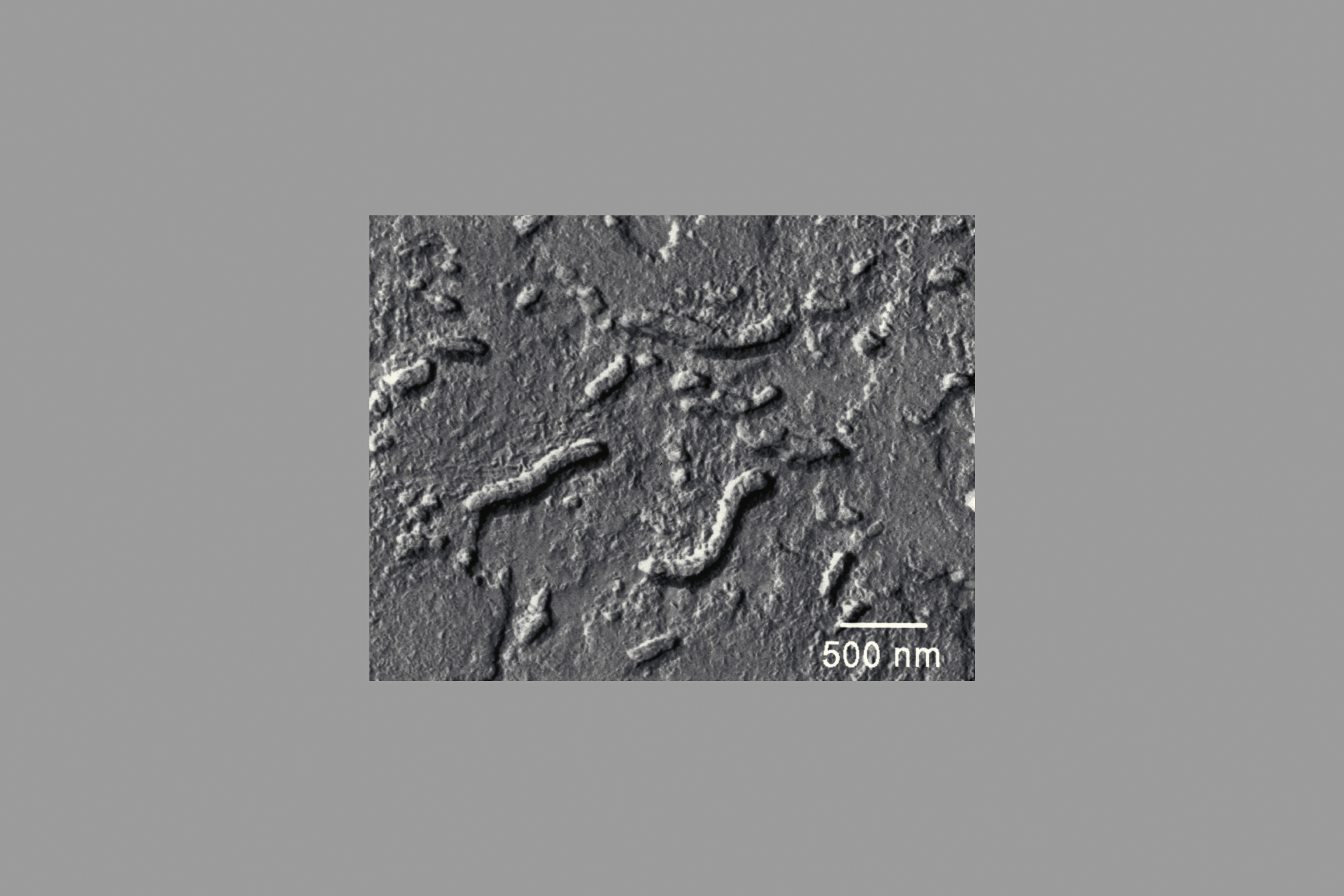 ARC-1996-AC96-0345-11