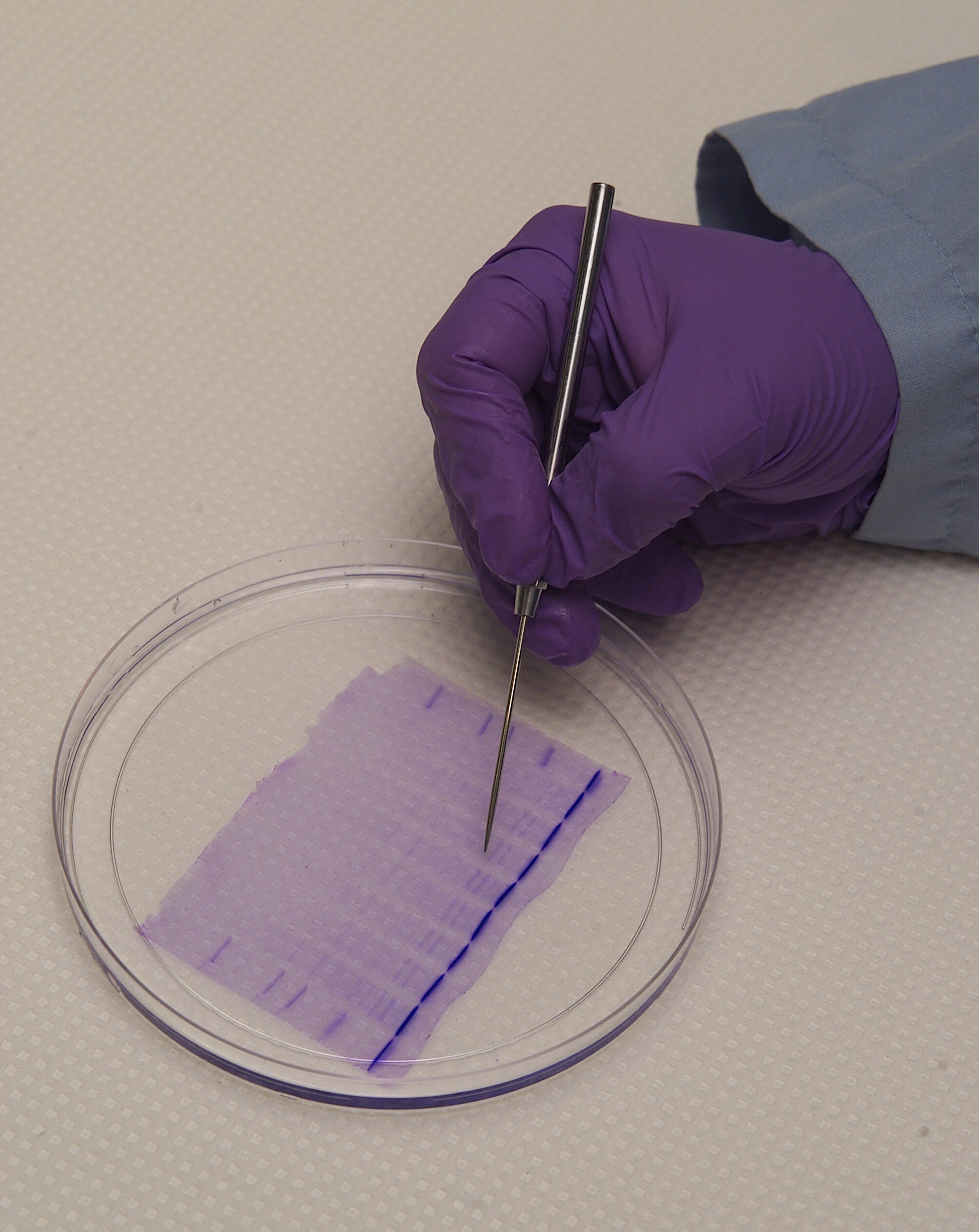 ARC-2003-ACD03-0174-014