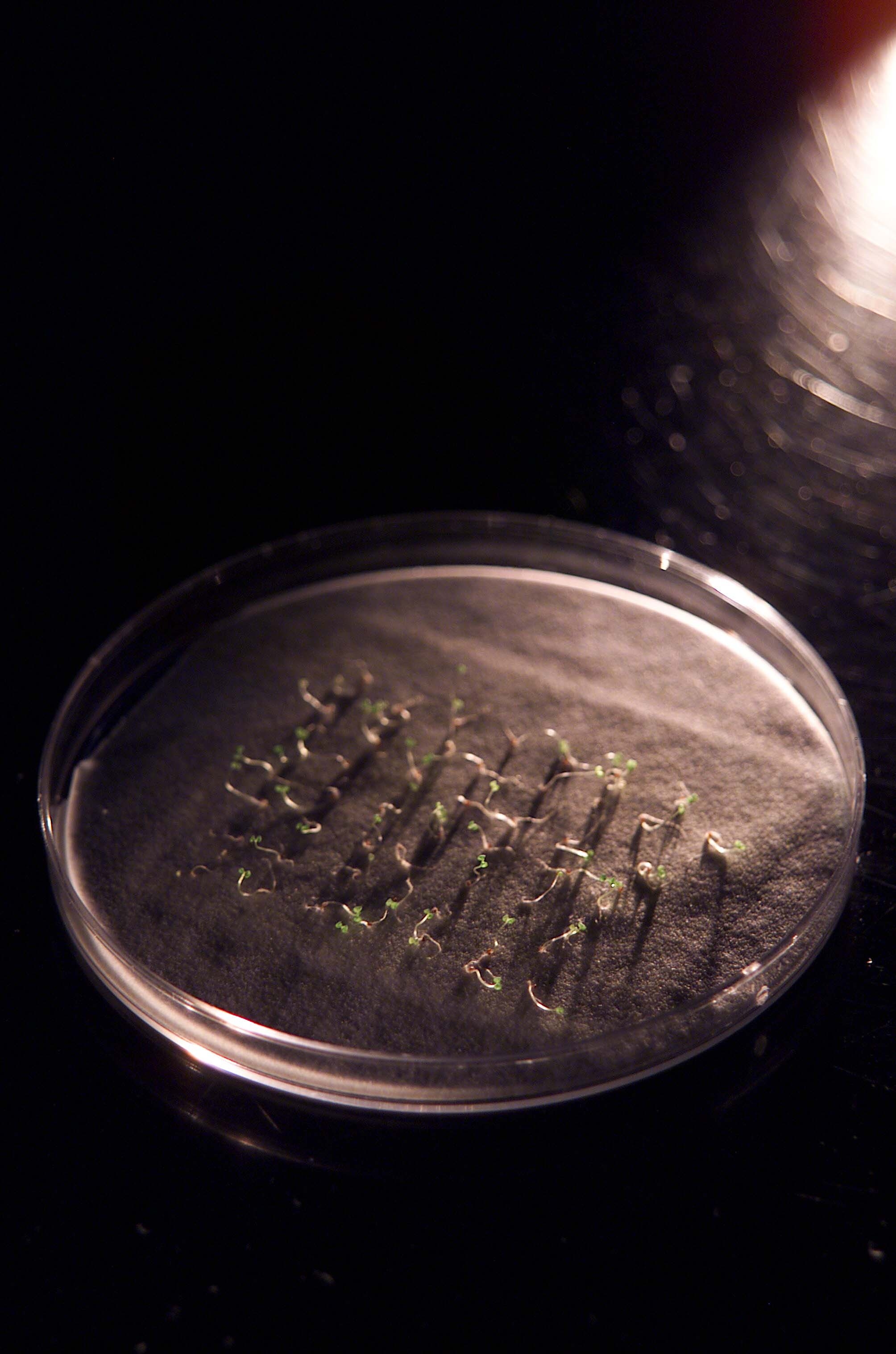 ARC-2003-ACD03-0174-028