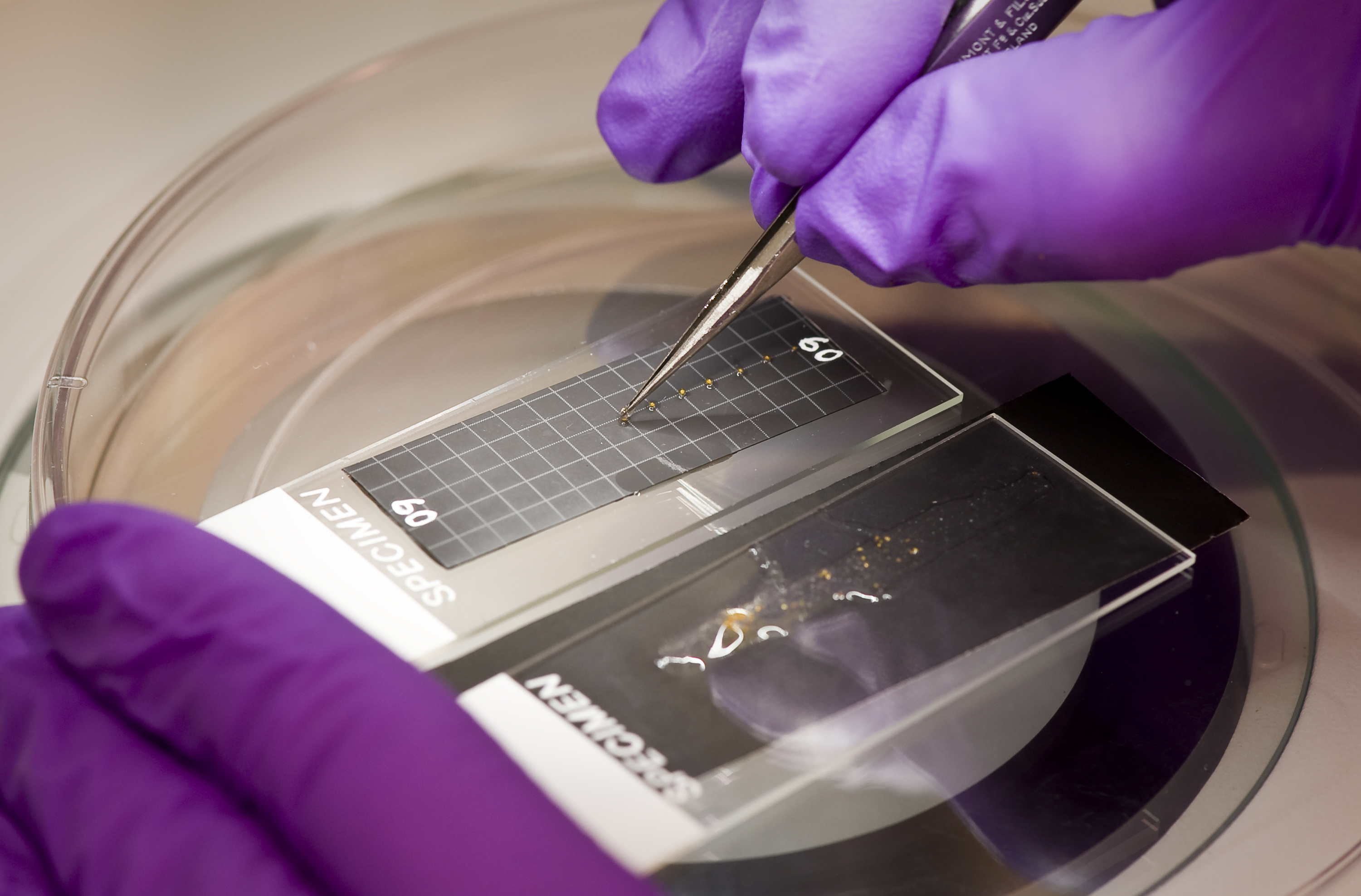 ARC-2009-ACD09-0269-013