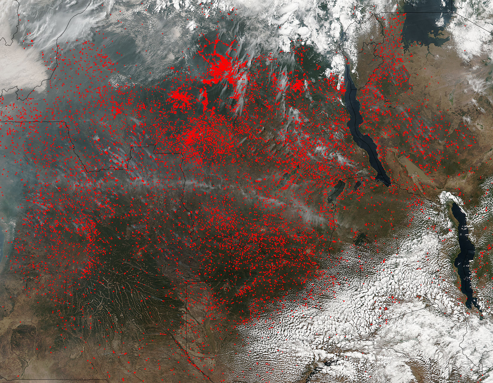 Central Africa Appears to Be Completely On Fire
