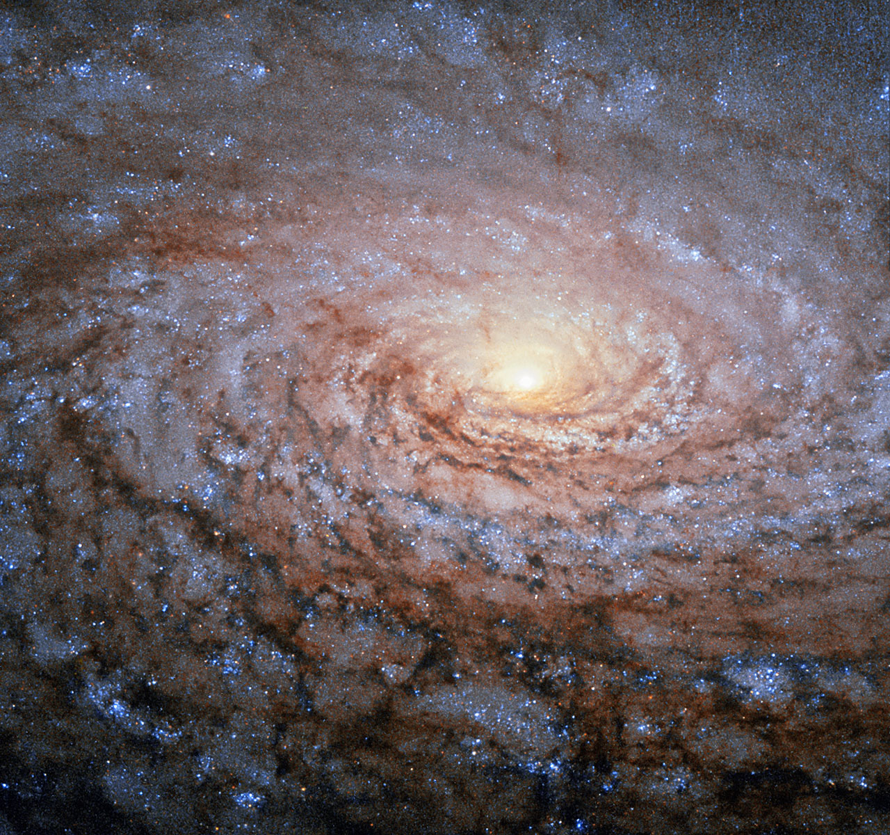 Hubble Sees a Galactic Sunflower