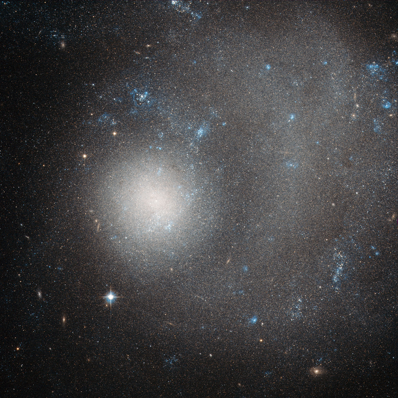 Hubble Sees a Dwarf Galaxy Shaped by a Grand Design