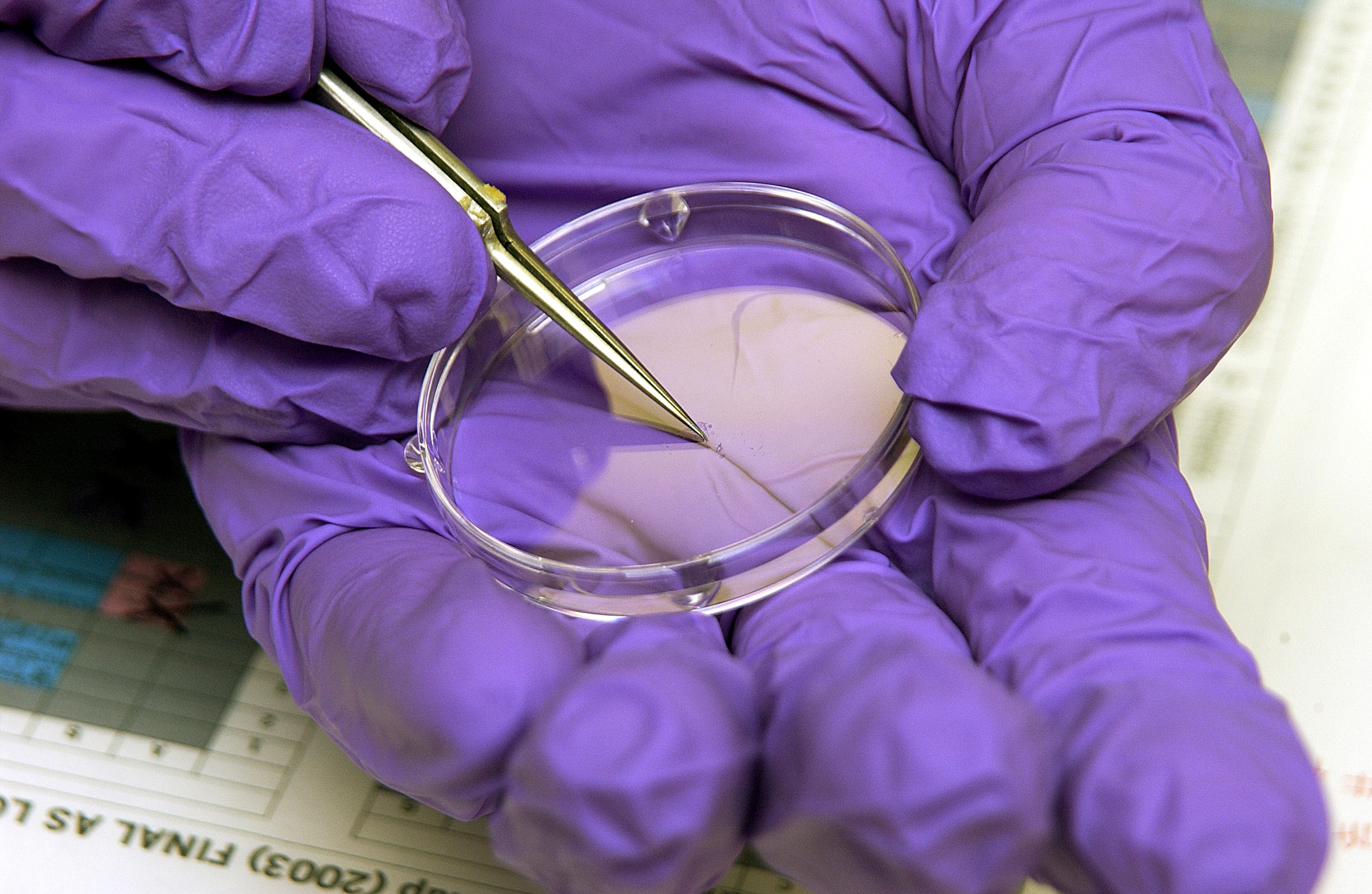 KENNEDY SPACE CENTER, FLA. - The crystals visible in this laboratory dish were part of an experiment carried on mission STS-107. Several experiments were found during the search for Columbia debris. Included in the Commercial ITA Biomedical Experiments payload on mission STS-107 are urokinase cancer research, microencapsulation of drugs, the Growth of Bacterial Biofilm on Surfaces during Spaceflight (GOBBSS), and tin crystal formation.
