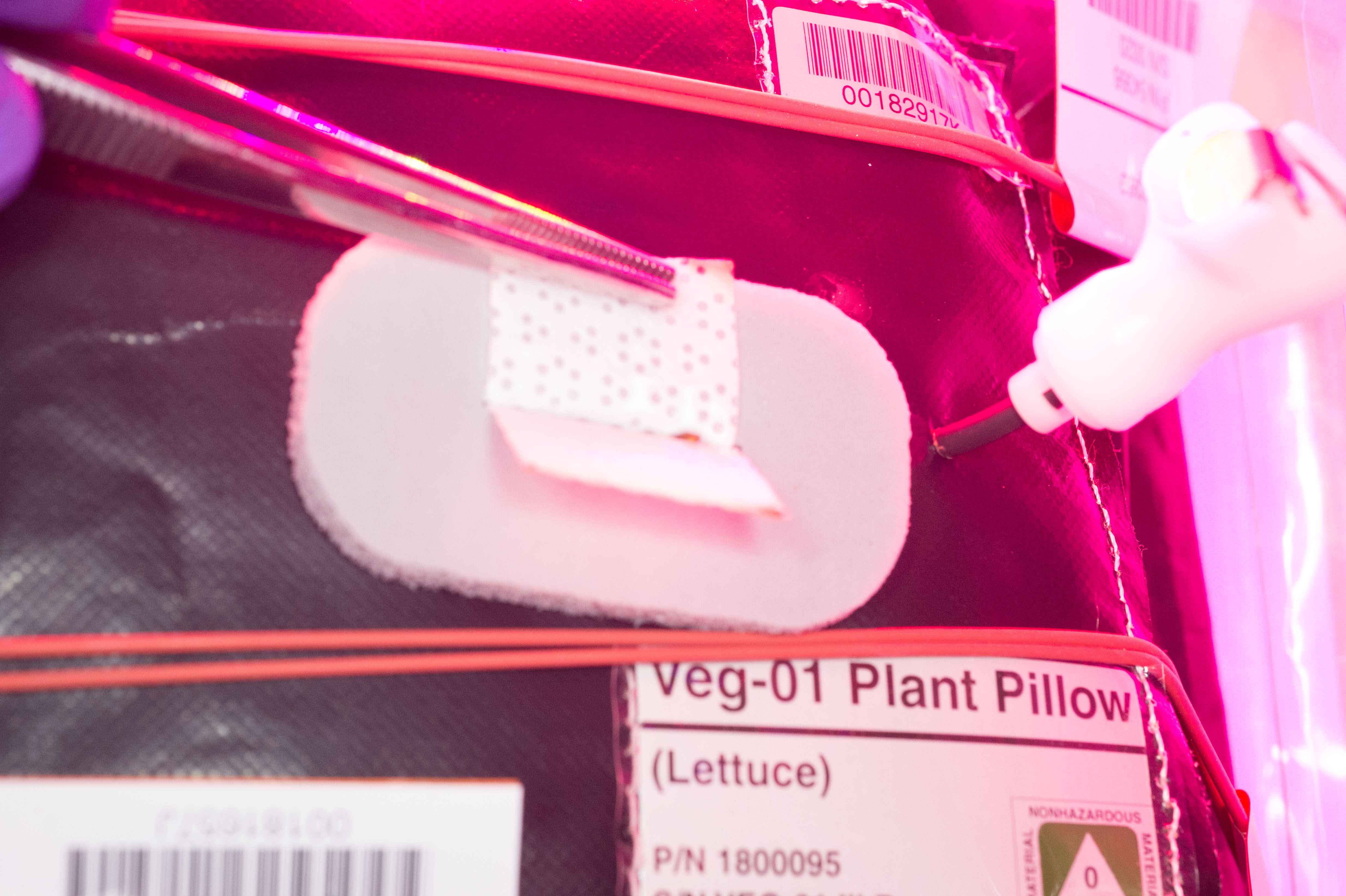 Flight Photos - VEG-01B Day 7 GMT 196 Thinning