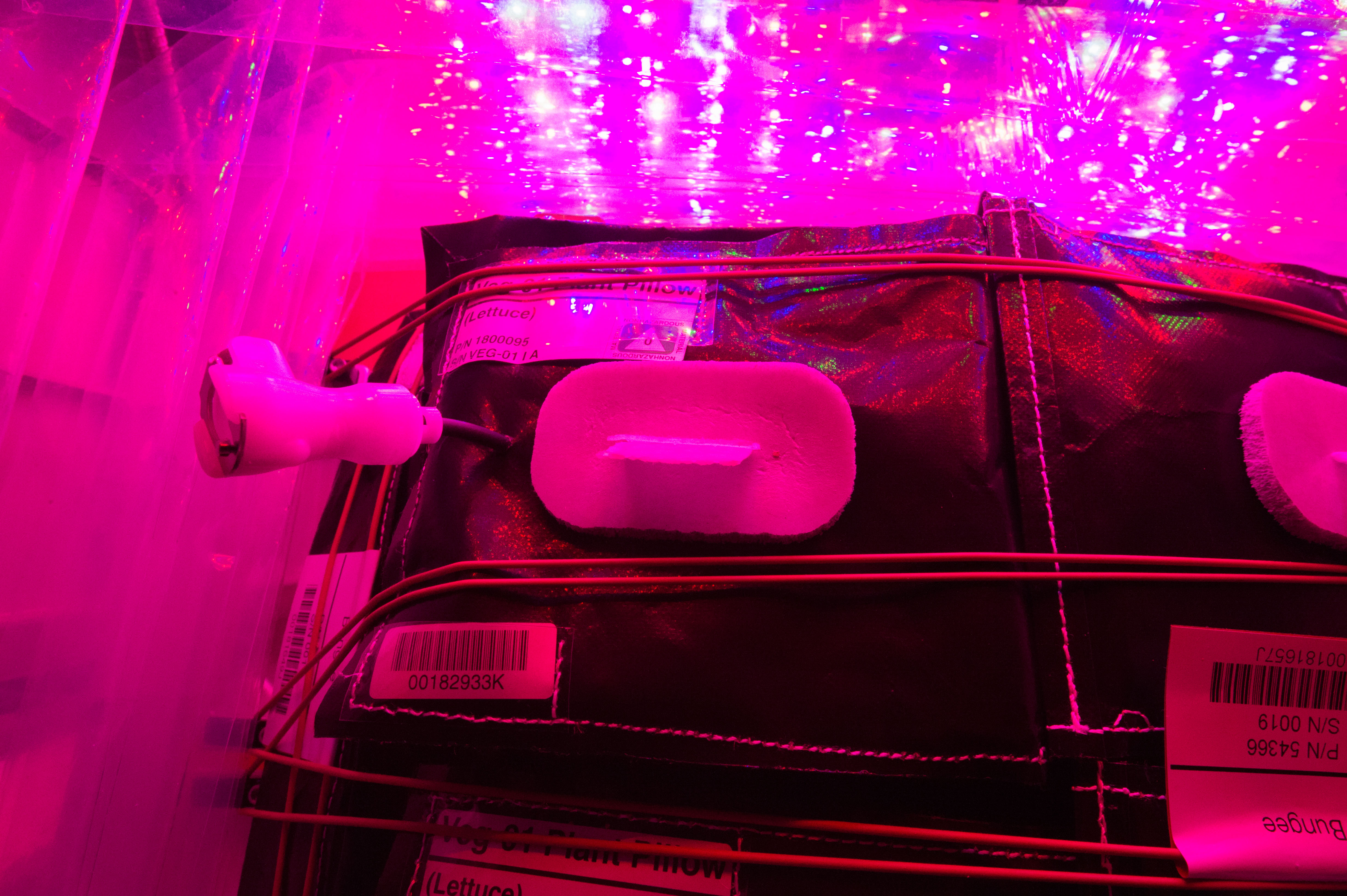 Flight Photos - VEG-01B Day 9 GMT 198