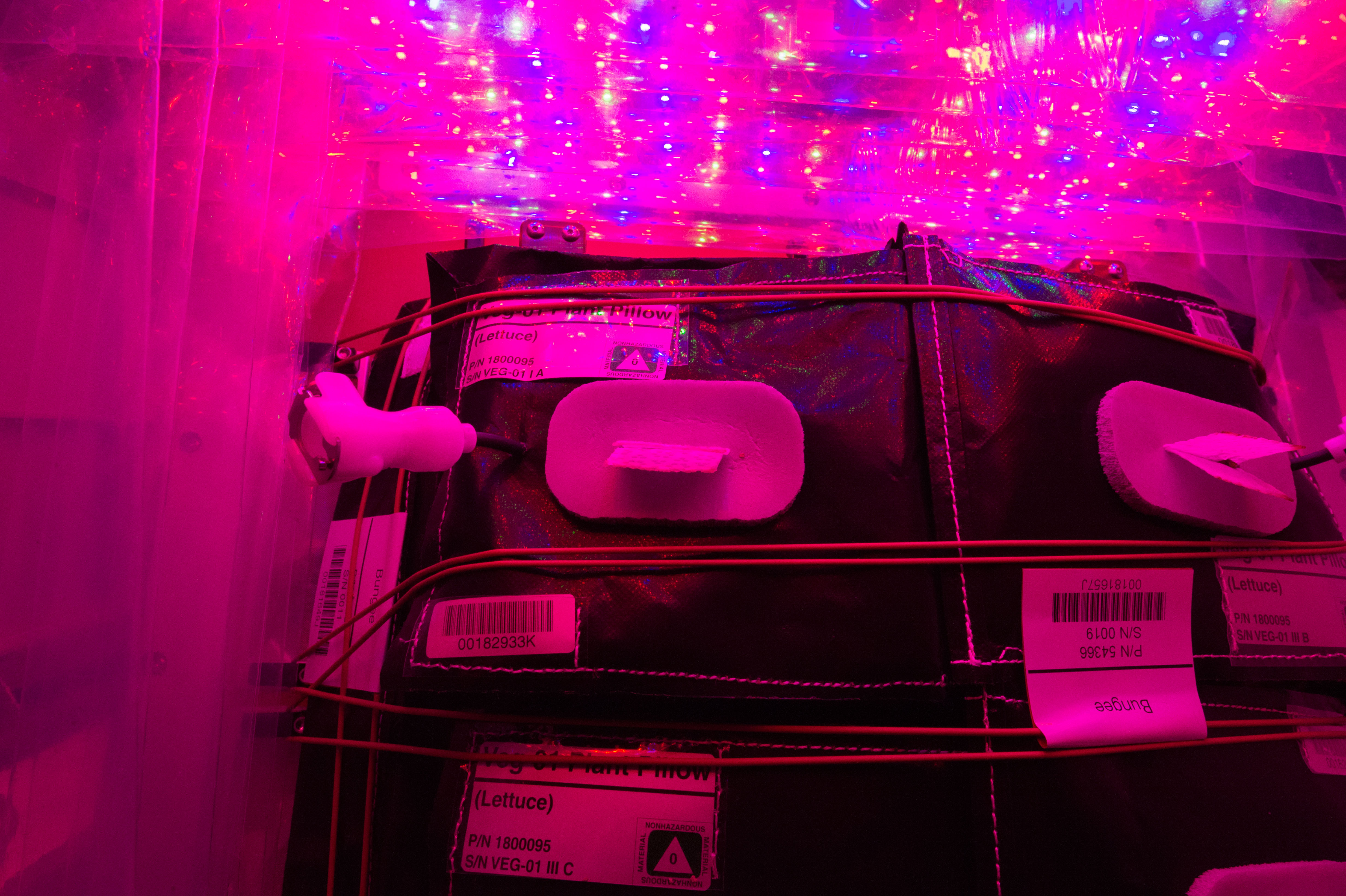 Flight Photos - VEG-01B Day 11 GMT 200