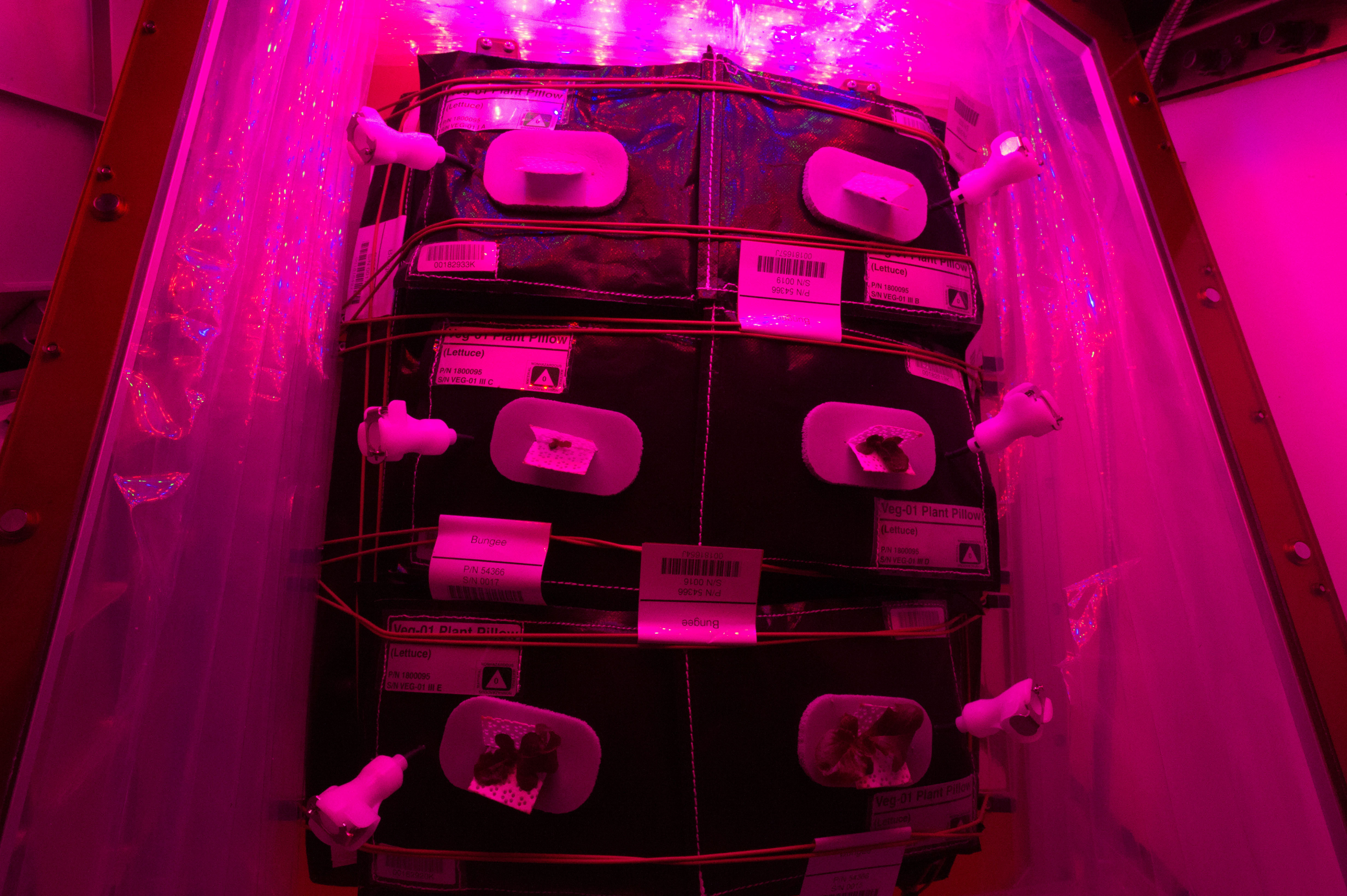 Flight Photos - VEG-01B Day 13 GMT 202