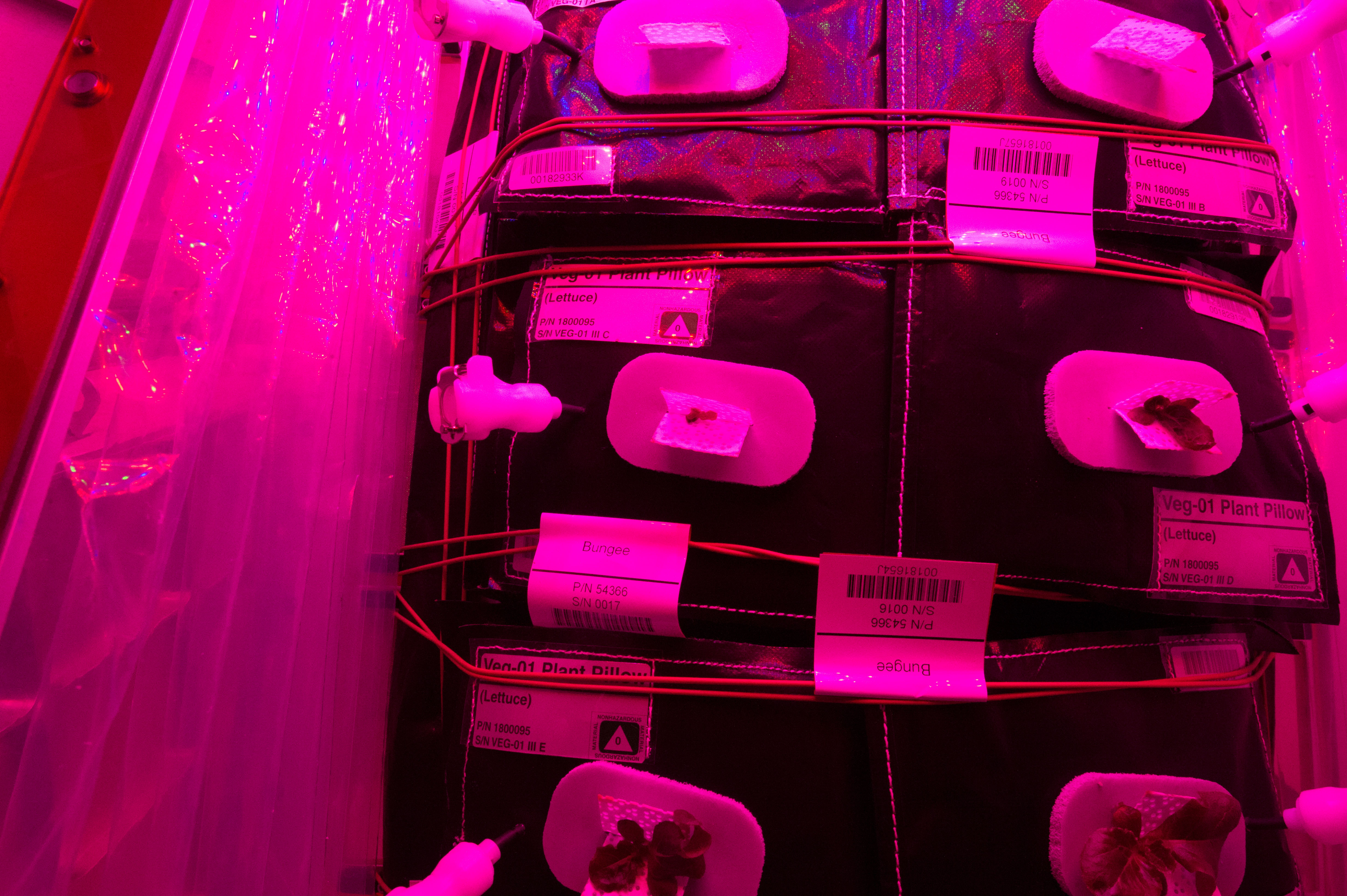 Flight Photos - VEG-01B Day 13 GMT 202