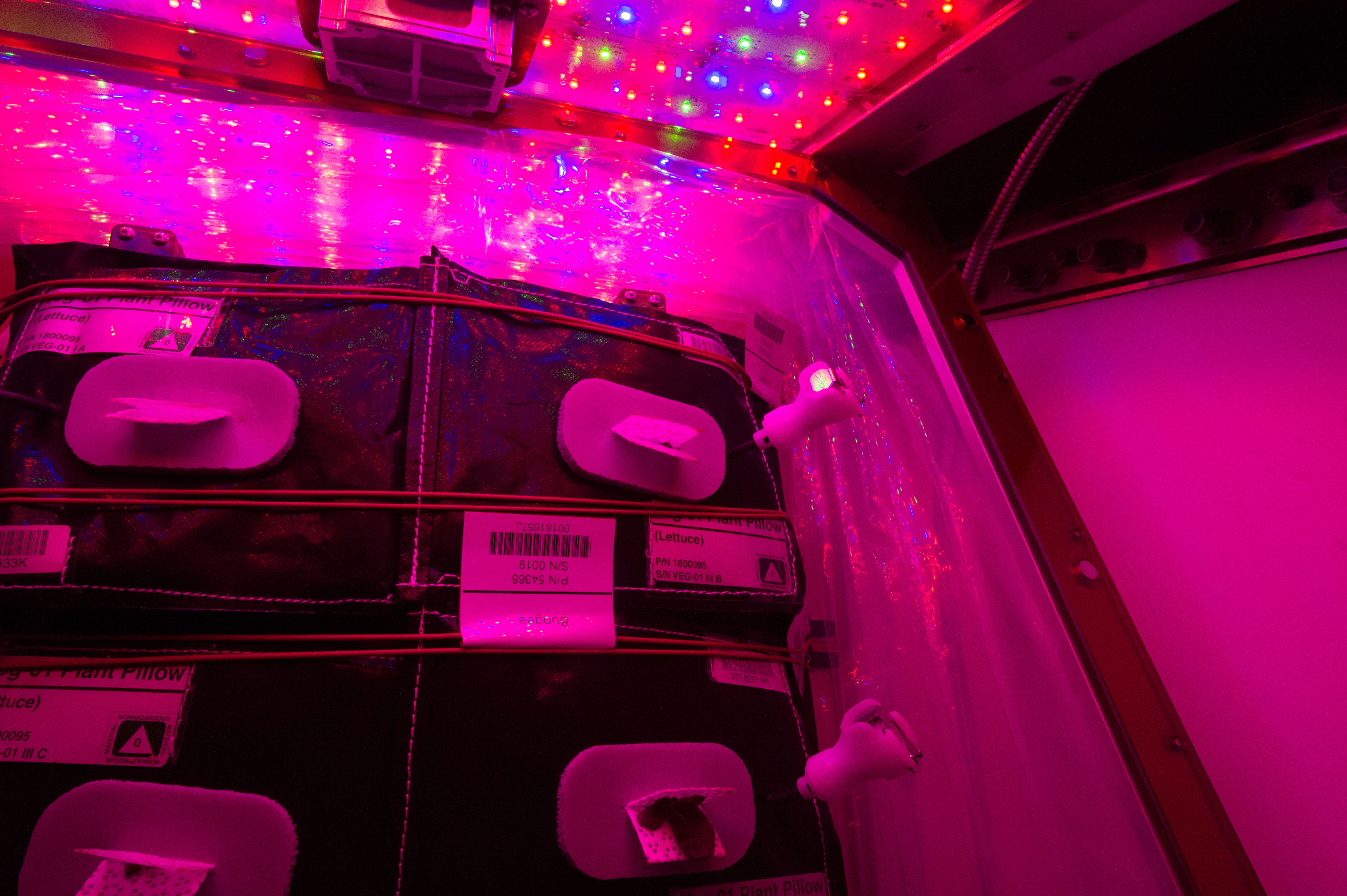 Flight Photos - VEG-01B Day 13 GMT 202