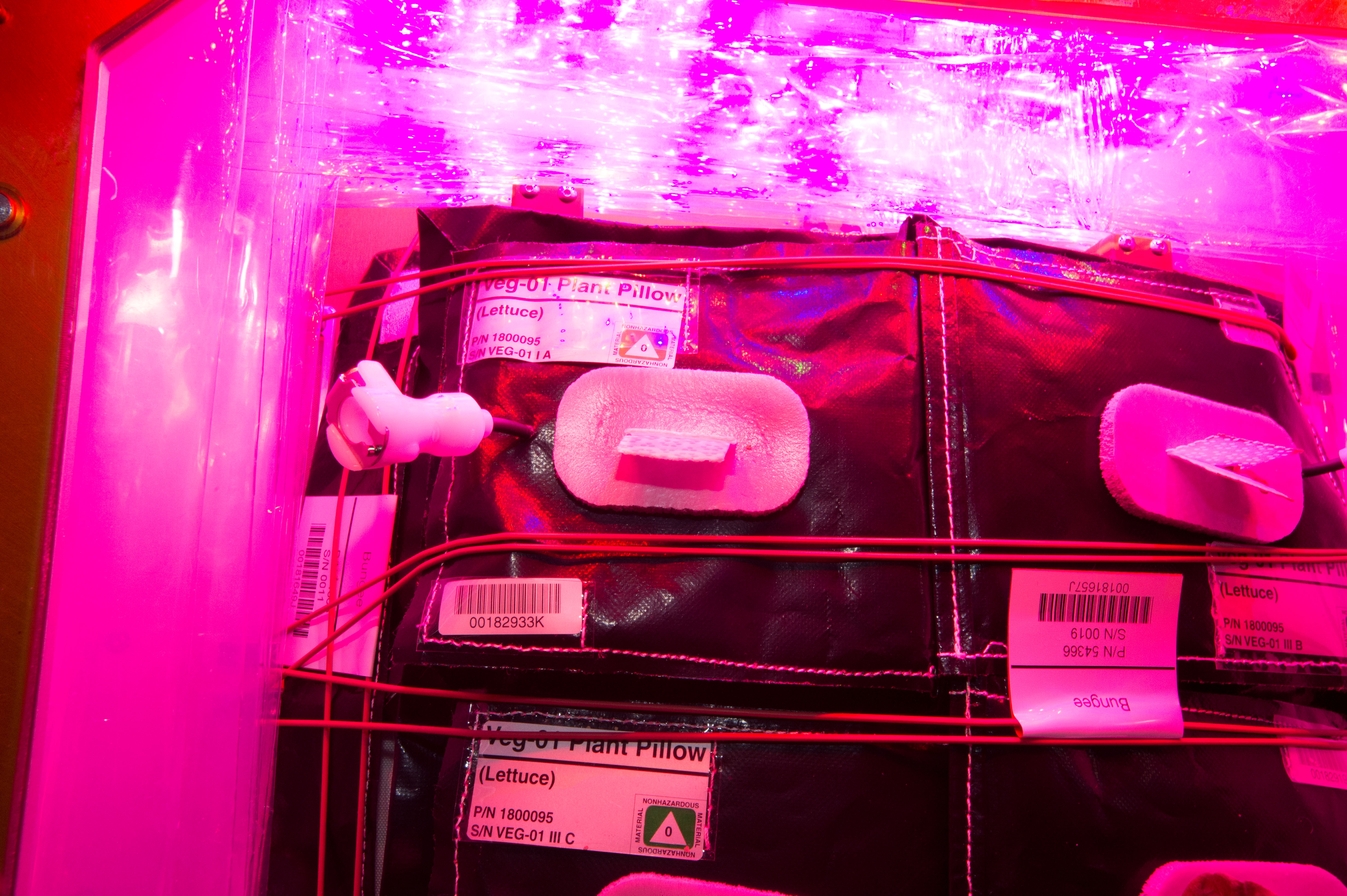 Flight Photos - VEG-01B Day 19 GMT 208