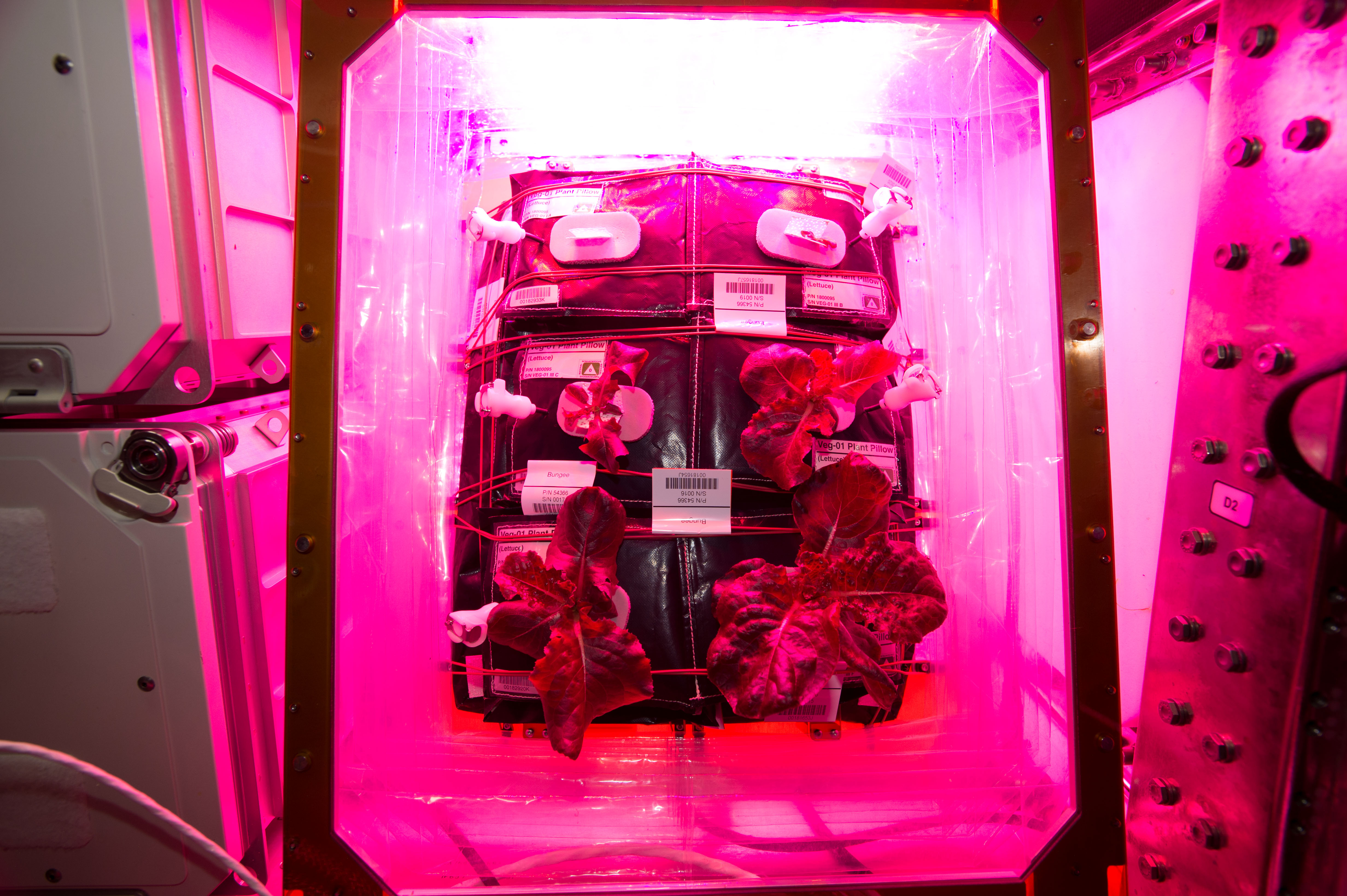 Flight Photos - VEG-01B Day 25