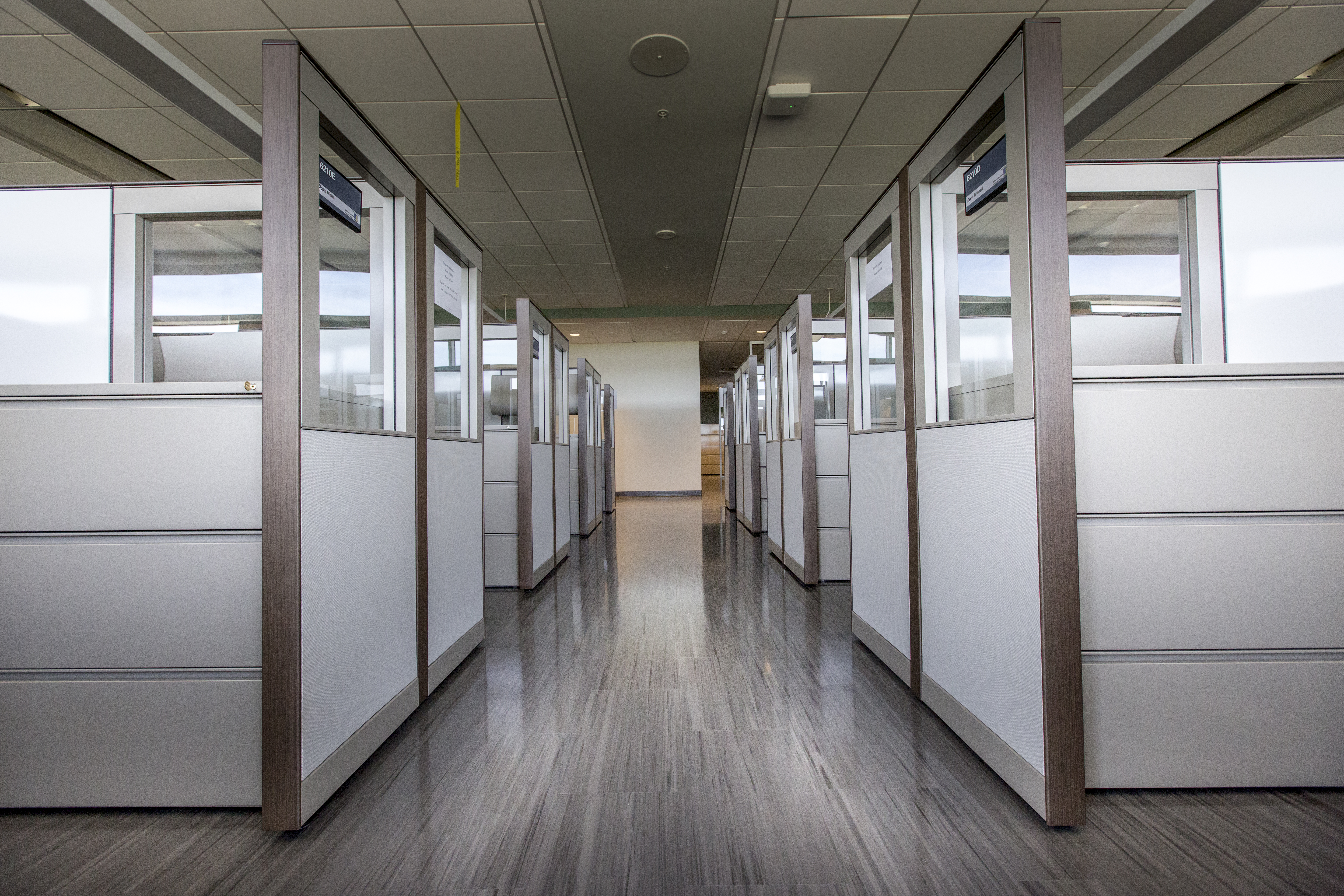 Central Campus Production