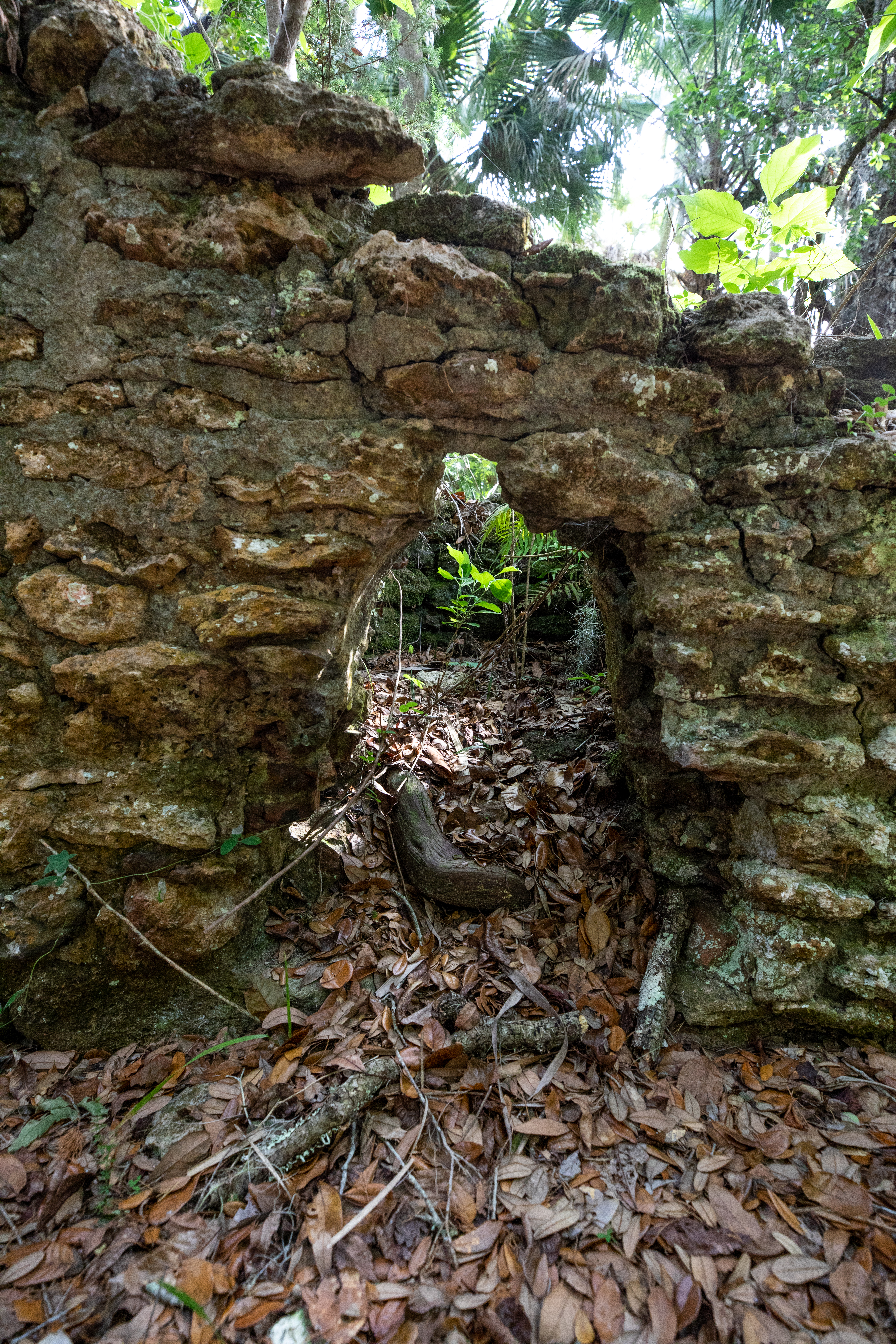 Elliot Plantation Site