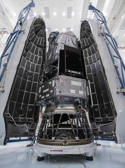 Vertical view looking up at the Roman Space Telescope inside the payload fairing. The telescope is wrapped and framed by tall blue structural supports.