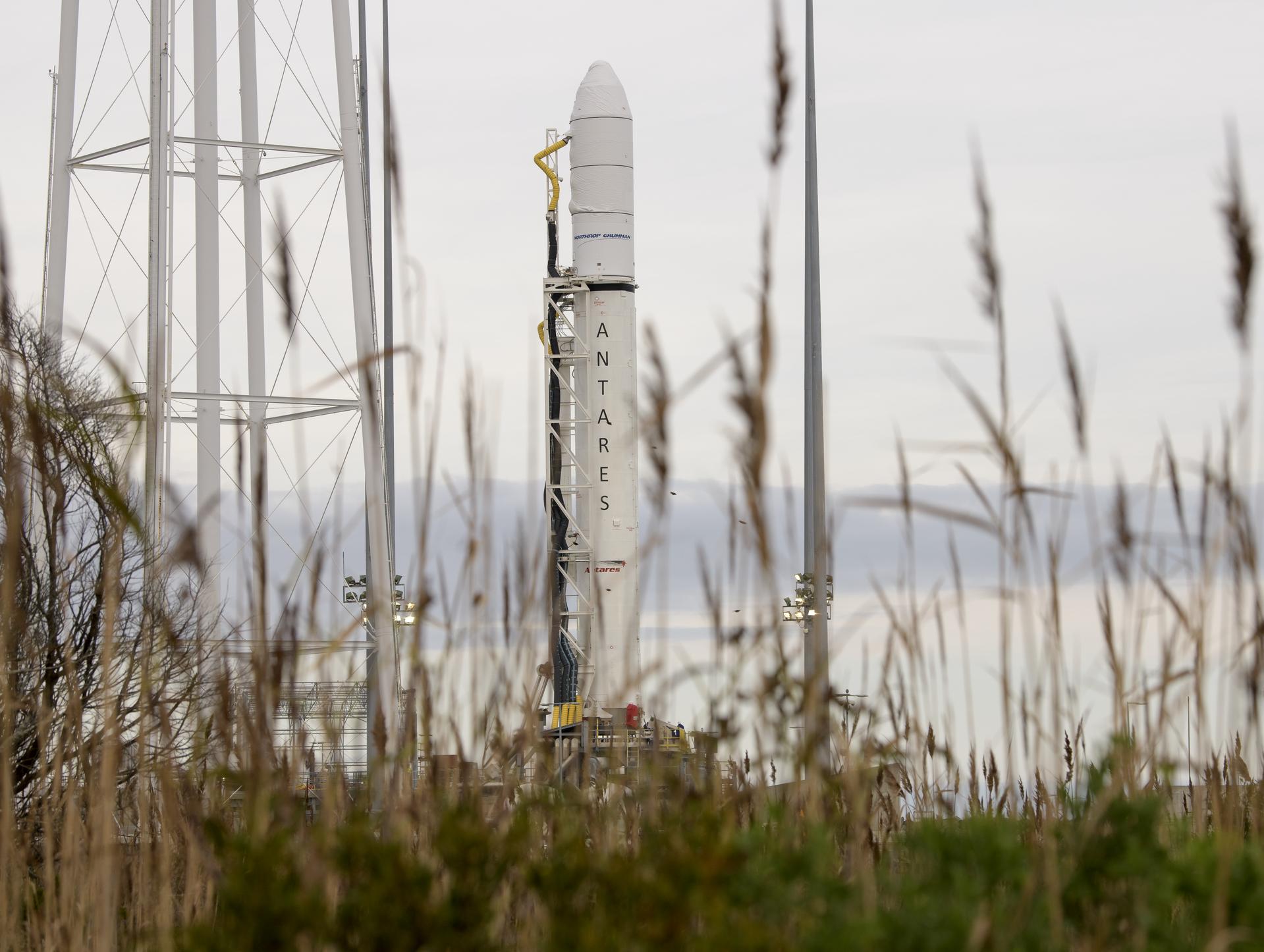 Northrop Grumman Antares CRS-12 Prelaunch