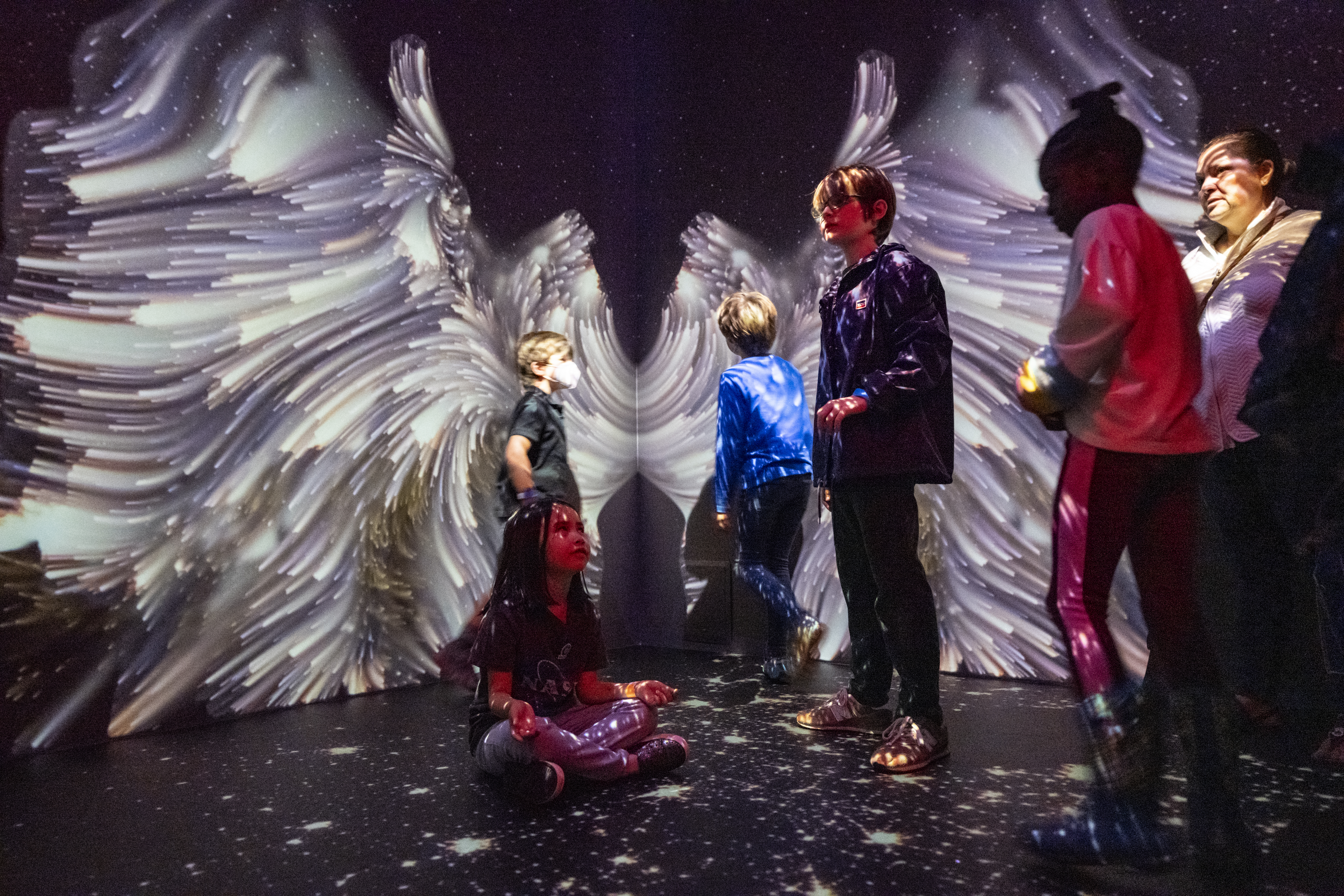 Earth Information Center Student Engagement