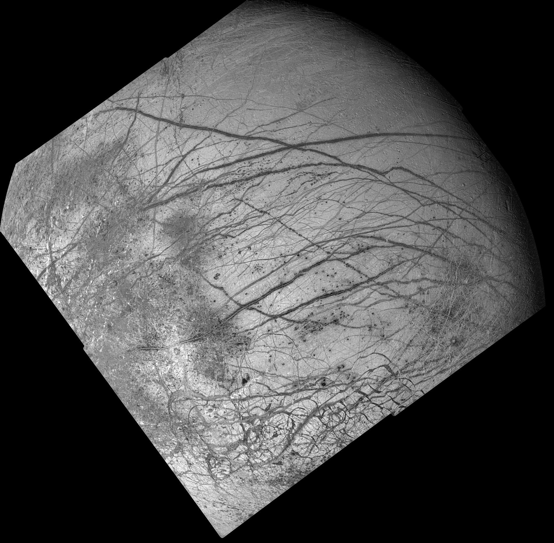 Dark Bands on Europa
