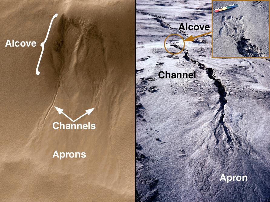 Evidence for Recent Liquid Water on Mars: Basic Features of Martian Gullies
