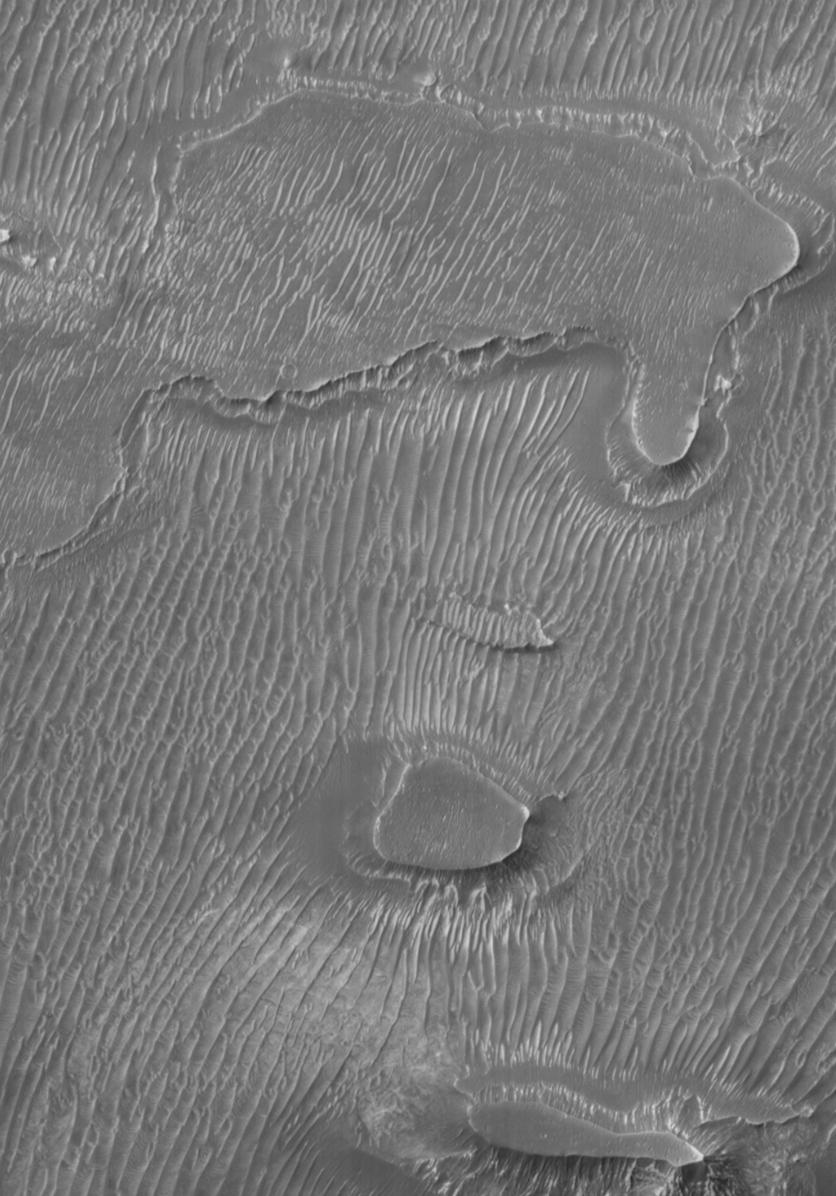 Melas Chasma Floor