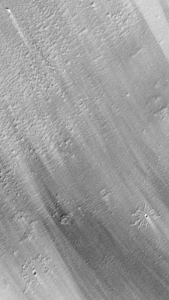 Pedestal Craters and Wind Streaks, South Medusae Fossae