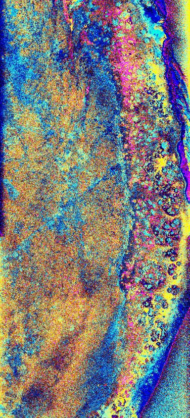 Space Radar Image of the Yucatan Impact Crater Site