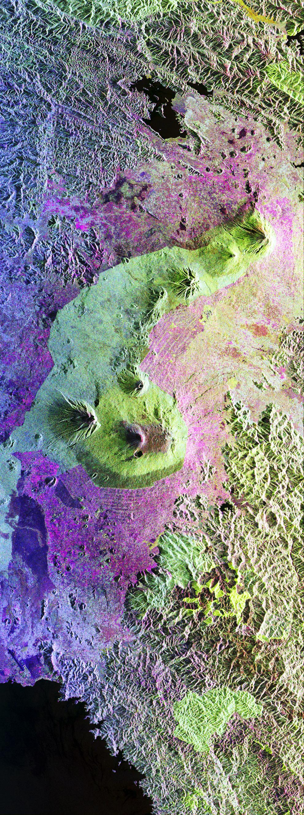 Space Radar Image of Central African Gorilla Habitat