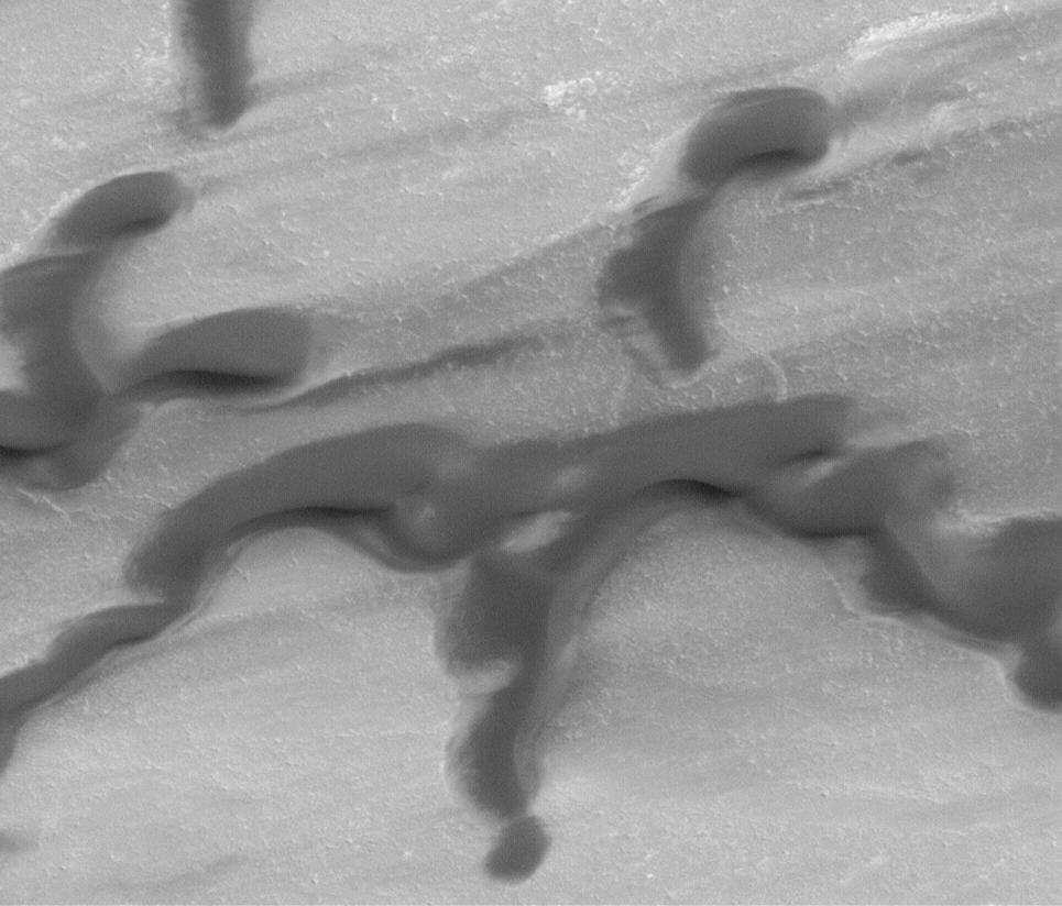 Polar Dunes In Summer Exhibit Frost Patches, Wind Streaks