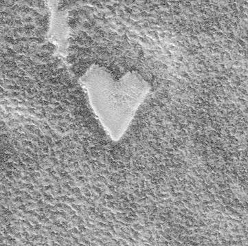 Happy Valentine Day From Mars!