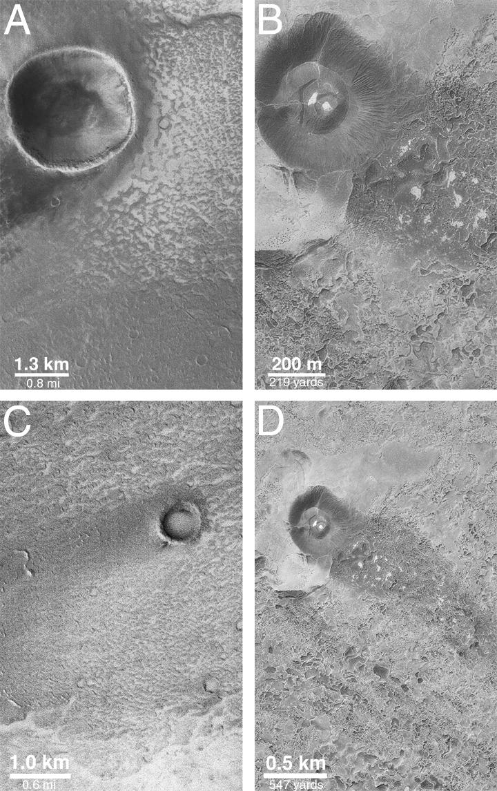 Wind Streaks of Daedalia, Mars, and Amboy, California
