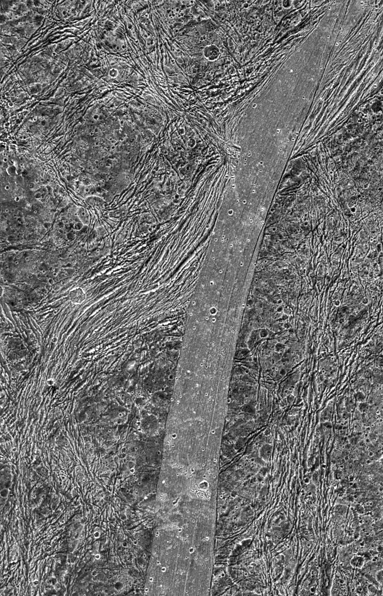 Regional View of Bright and Dark Terrain