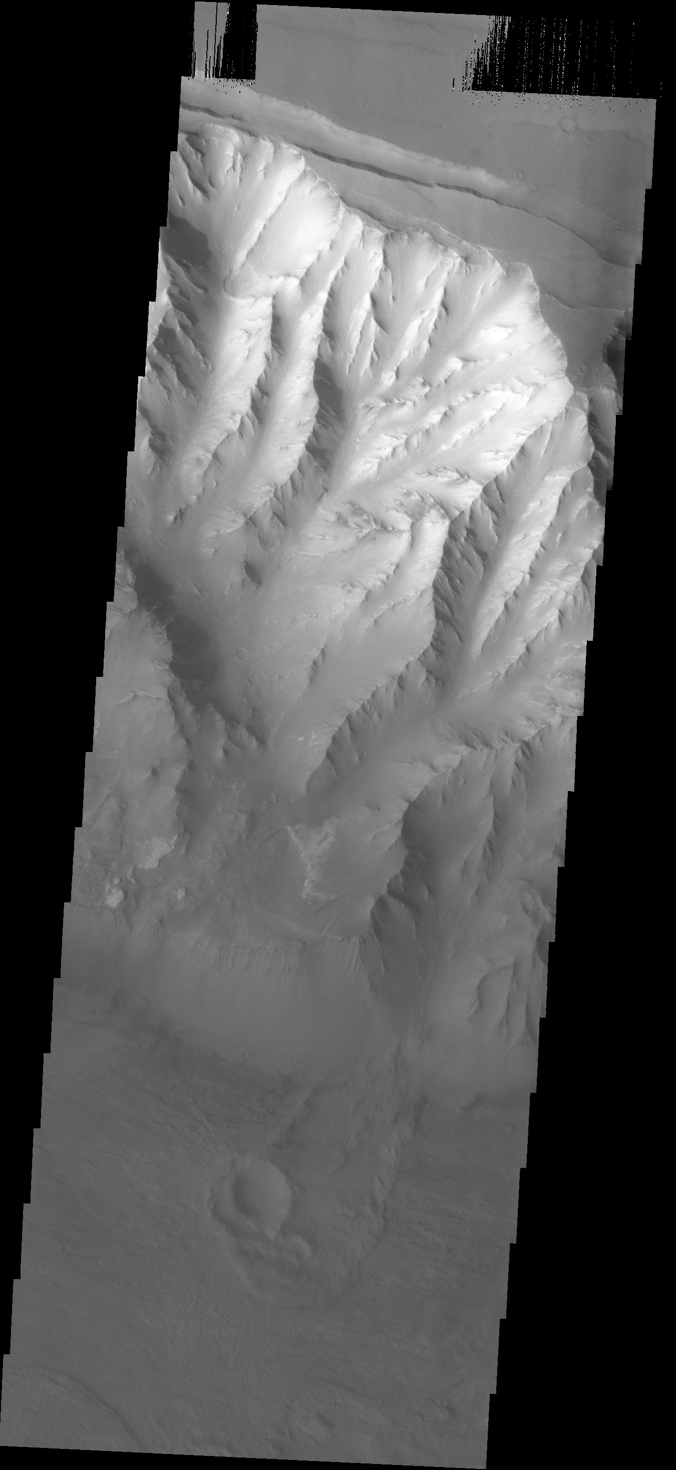 Melas Chasma Landslide
