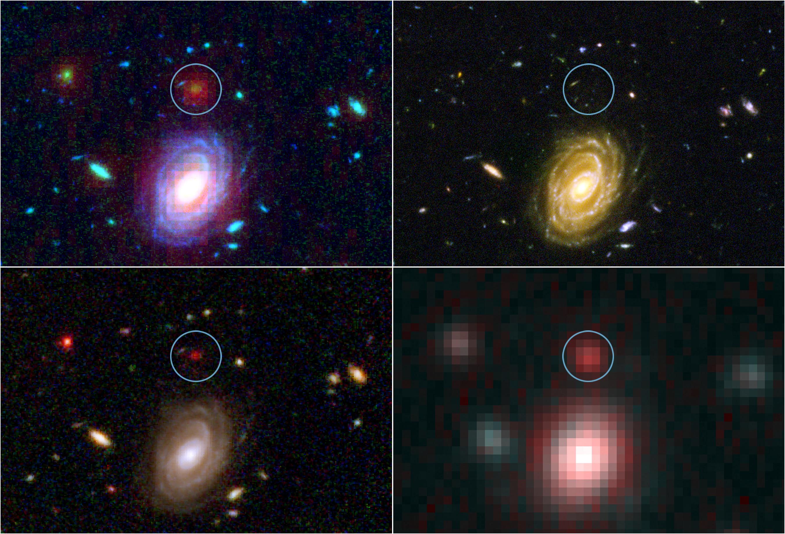 Big Galaxy in Baby Universe