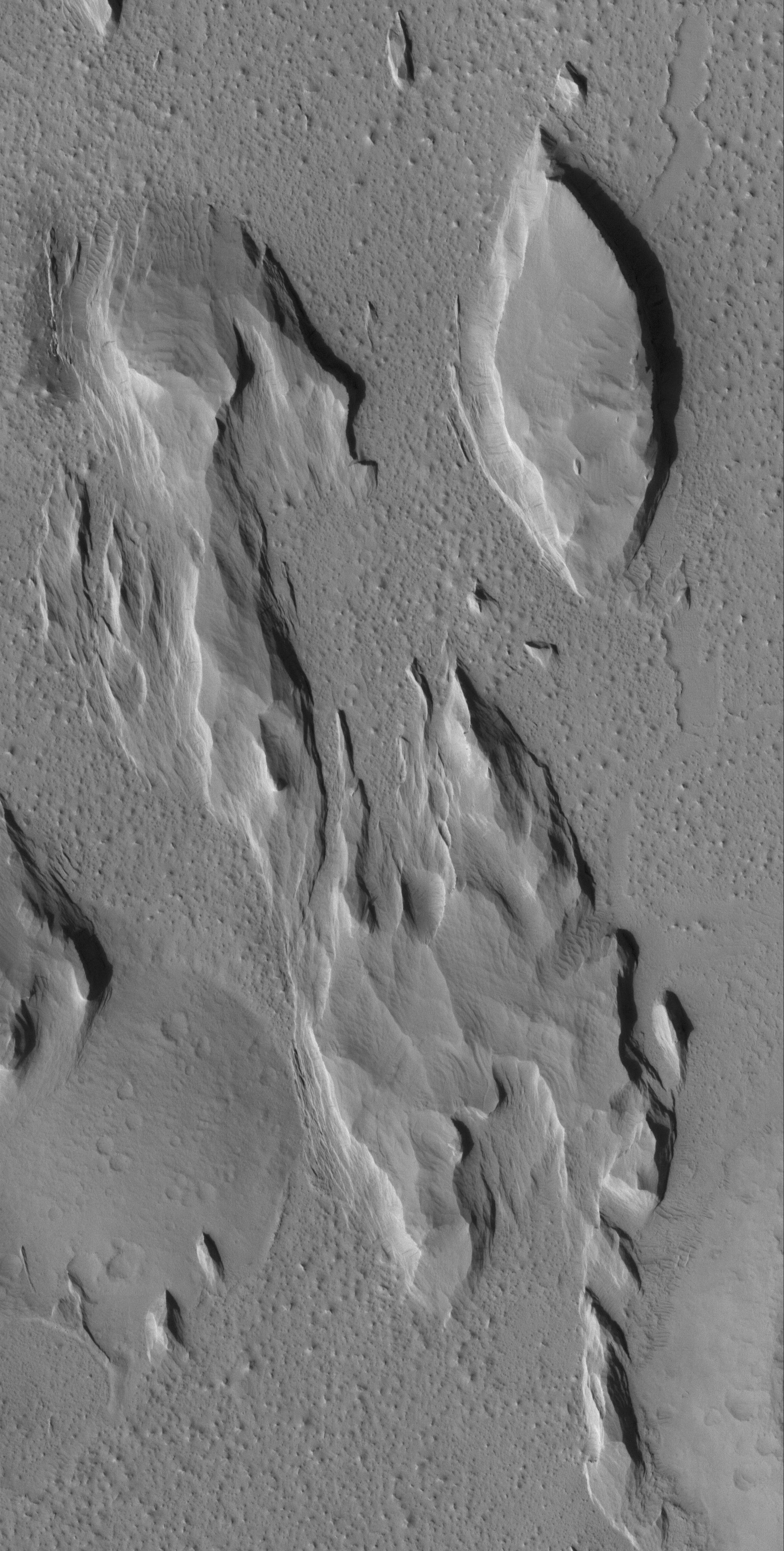 South Amazonis Yardangs