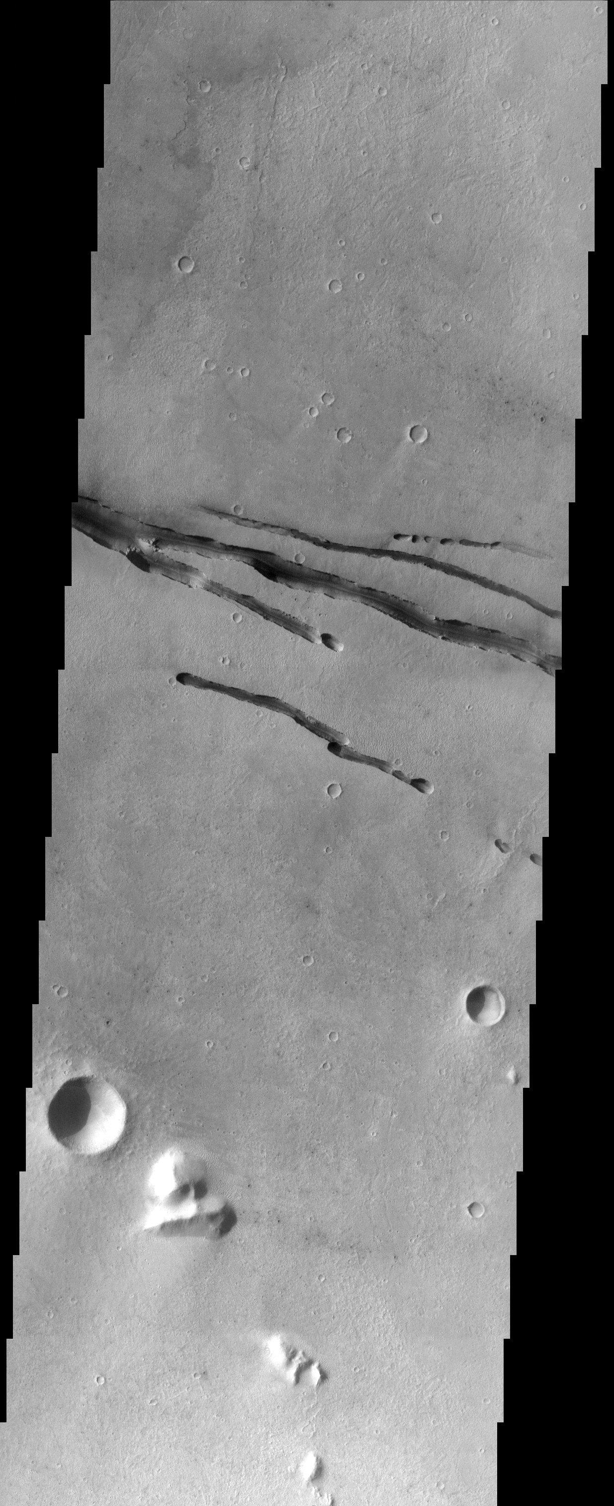 Cerberus Rupes