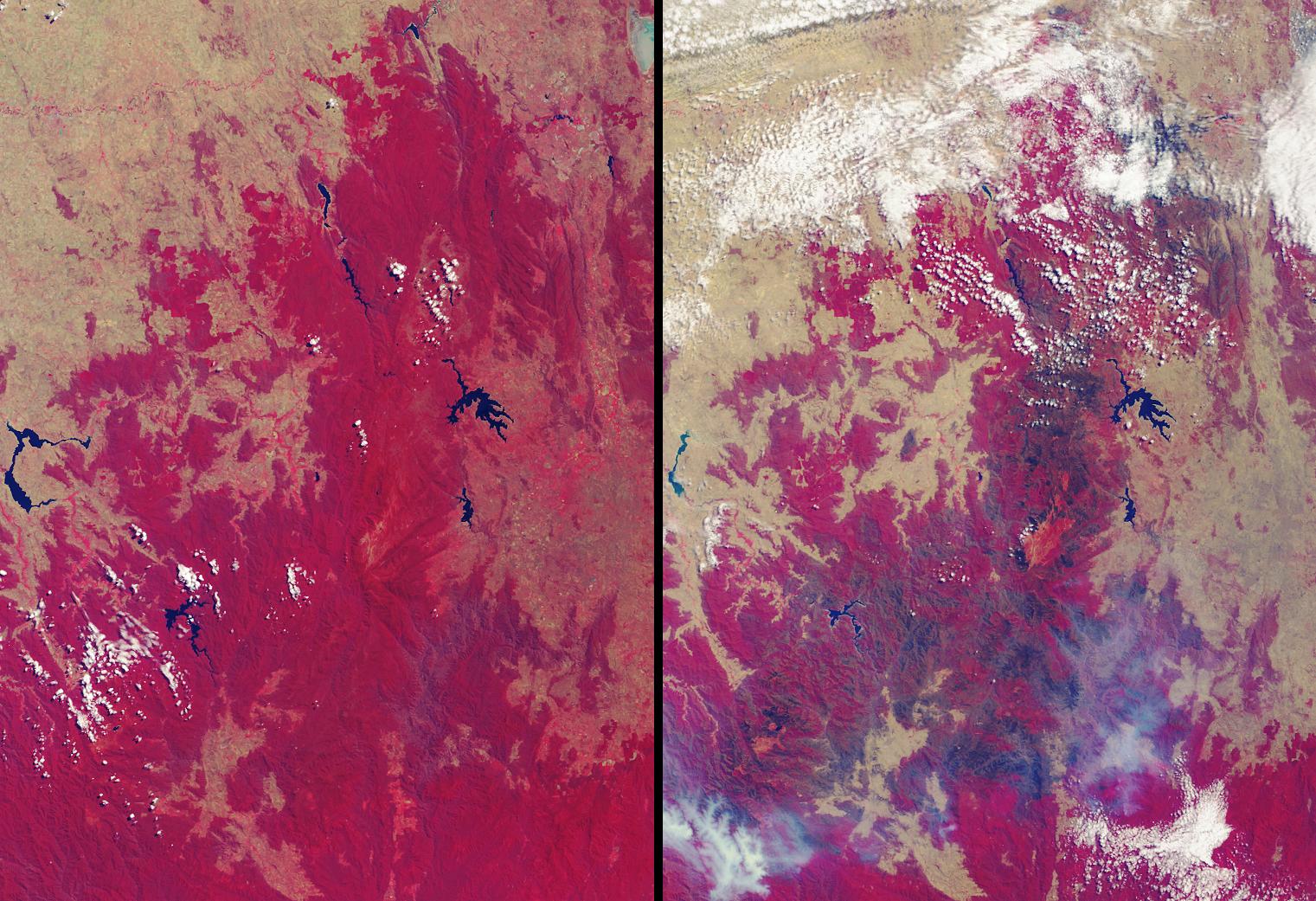 Drought and Burn Scars in Southeastern Australia