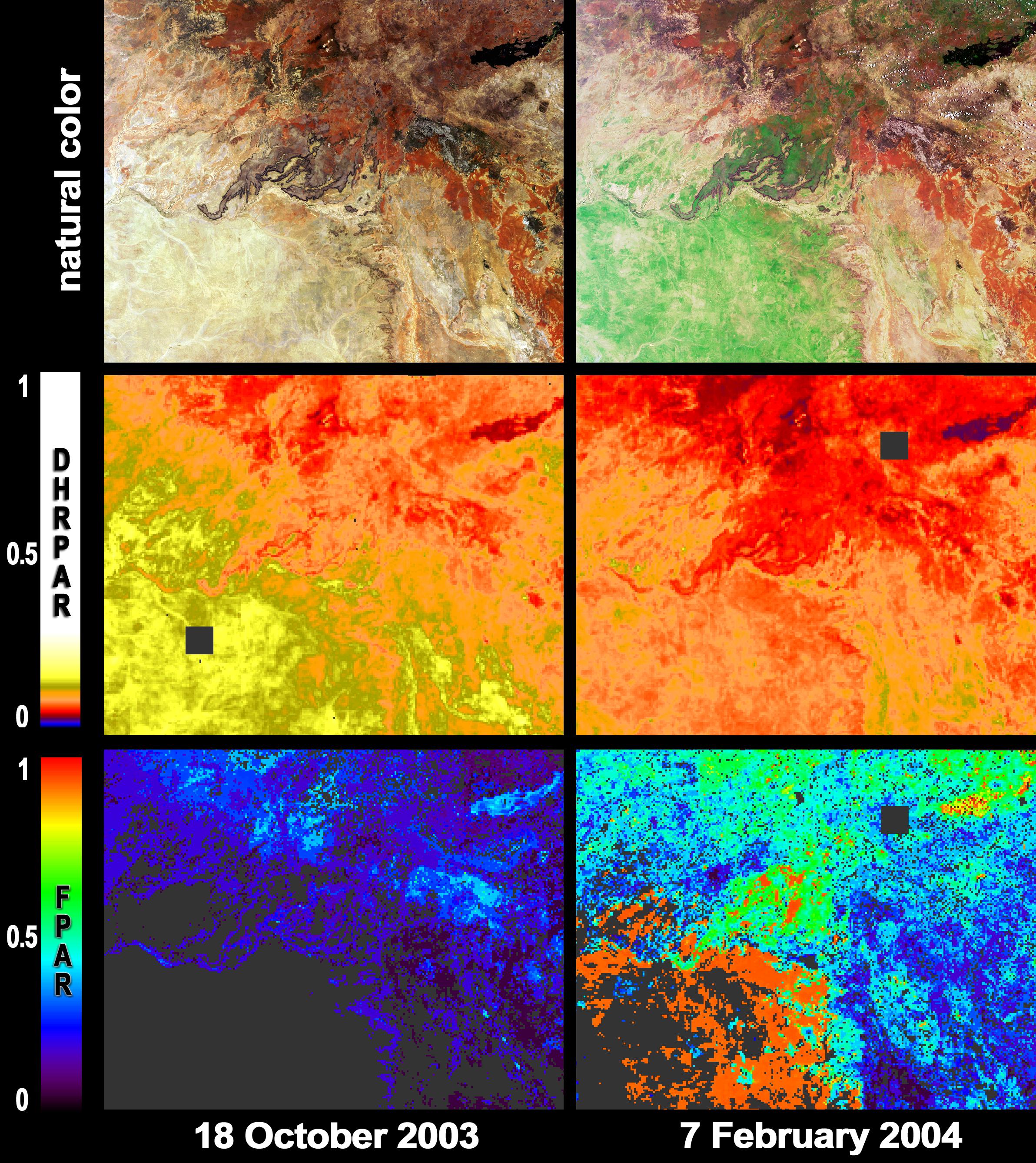 Greener Pastures in Northern Queensland, Australia