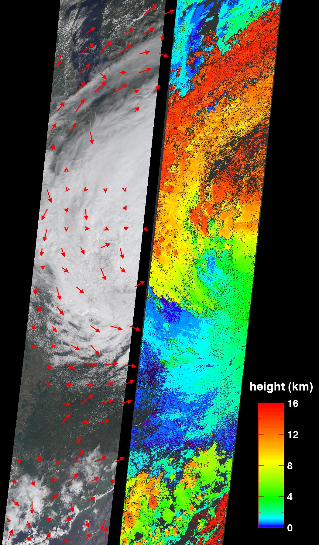 Cloud Spirals and Outflow in Tropical Storm Katrina