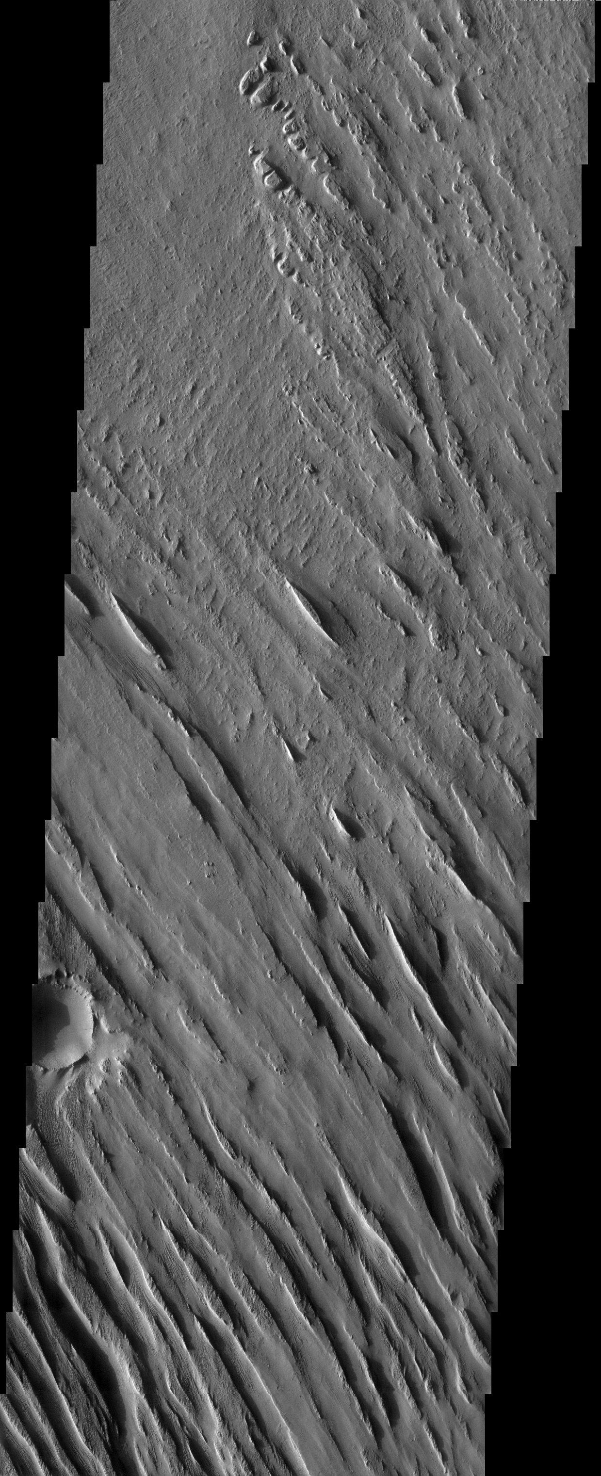 Medusae Fossae Yardangs