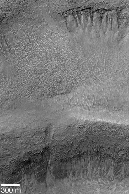 Gullies in Terraced Crater Wall