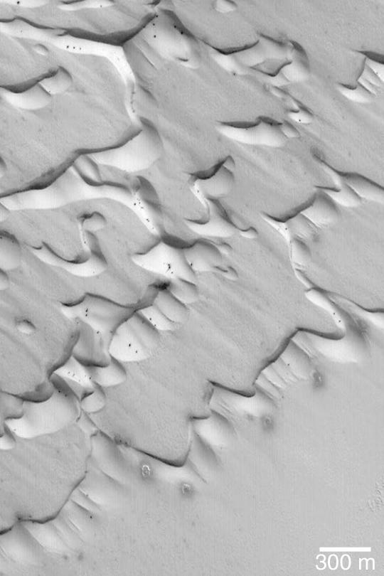 Frosted Chasma Boreale Dunes