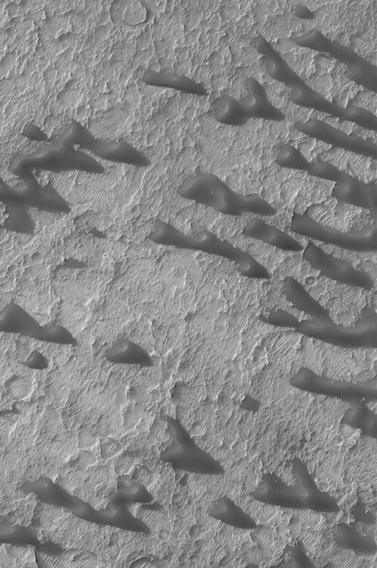 Sand Dunes of Schaeberle Crater