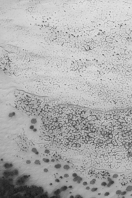 Polygons in Martian Frost