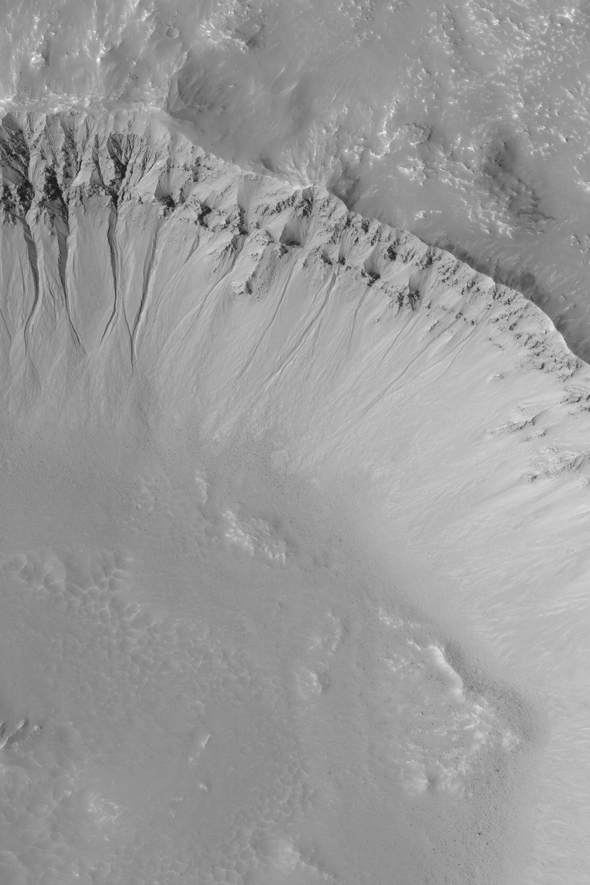 Martian Gullies