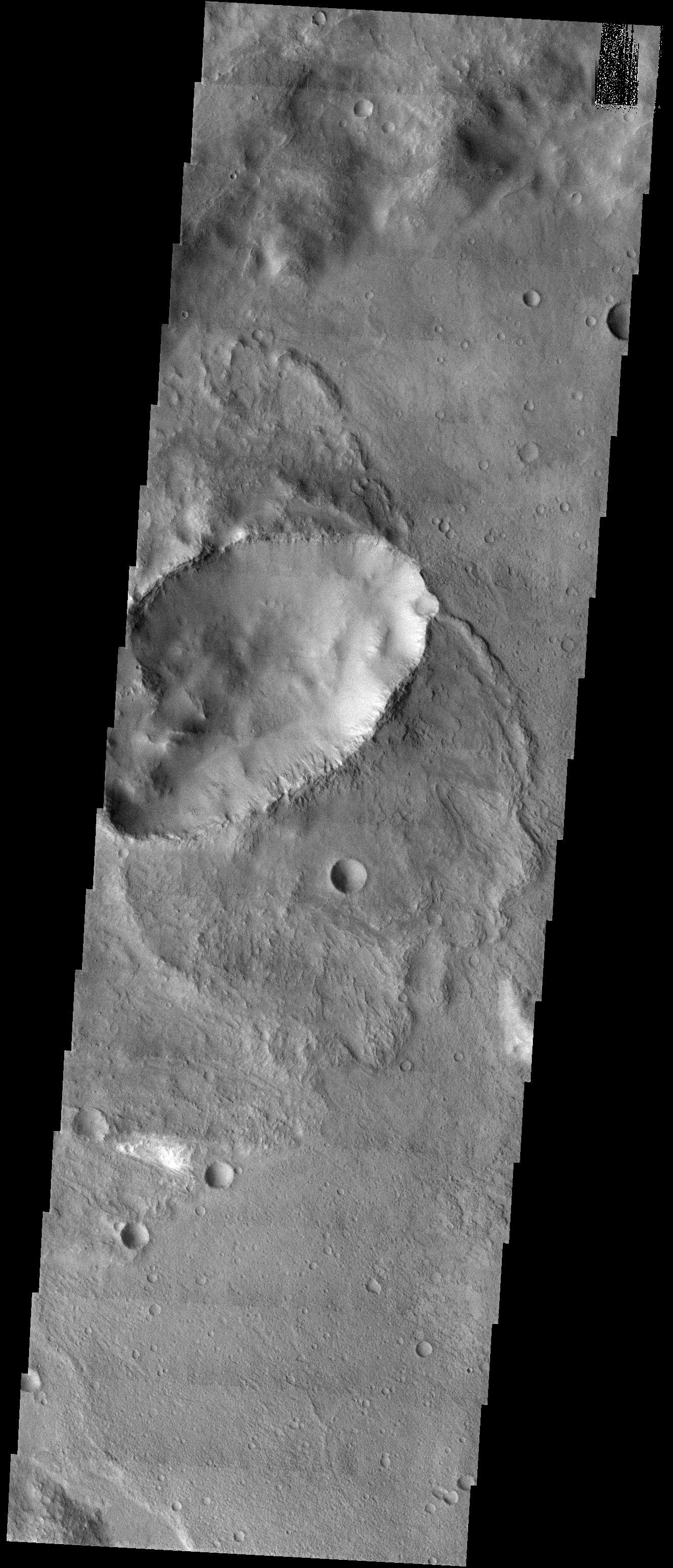 Butterfly Ejecta