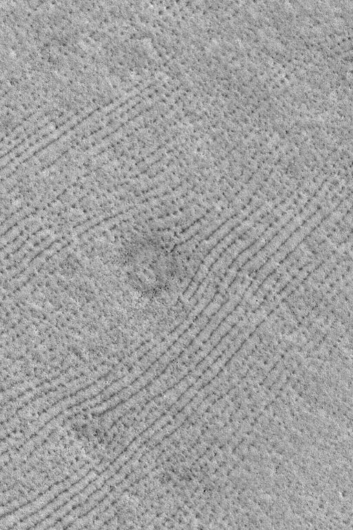 Northern Plains Patterns