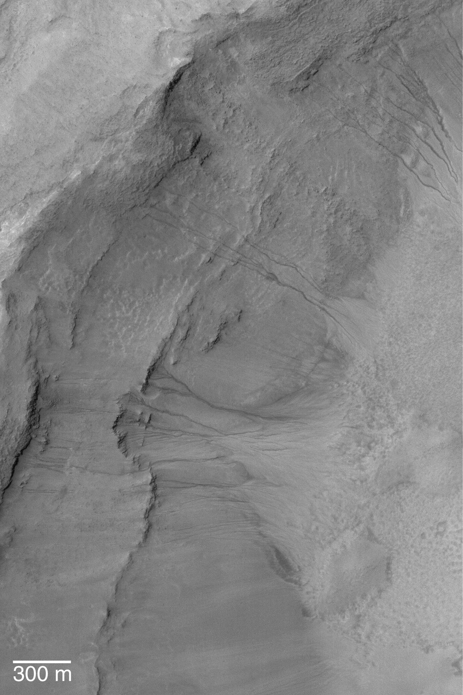 Mid-Latitude Gullies
